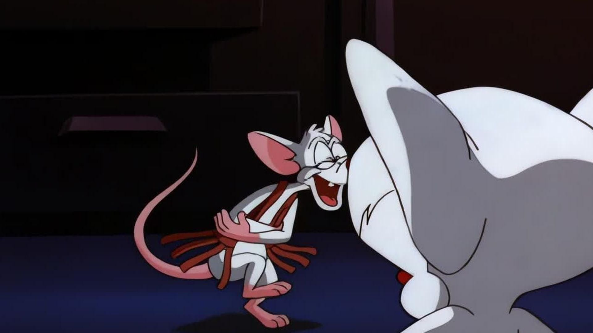 Pinky and the Brain background