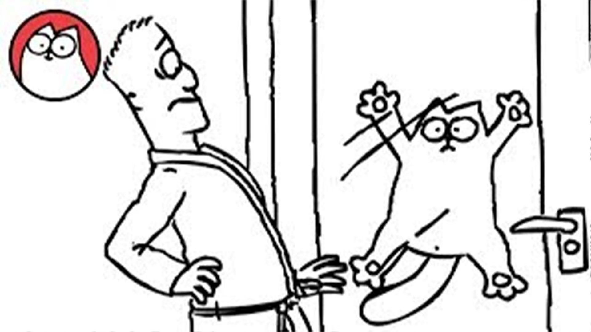 Simon's Cat background