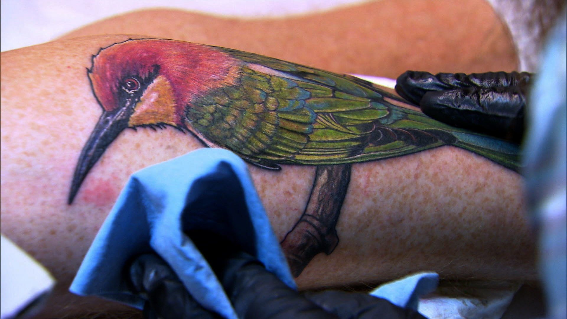 Ink Master background