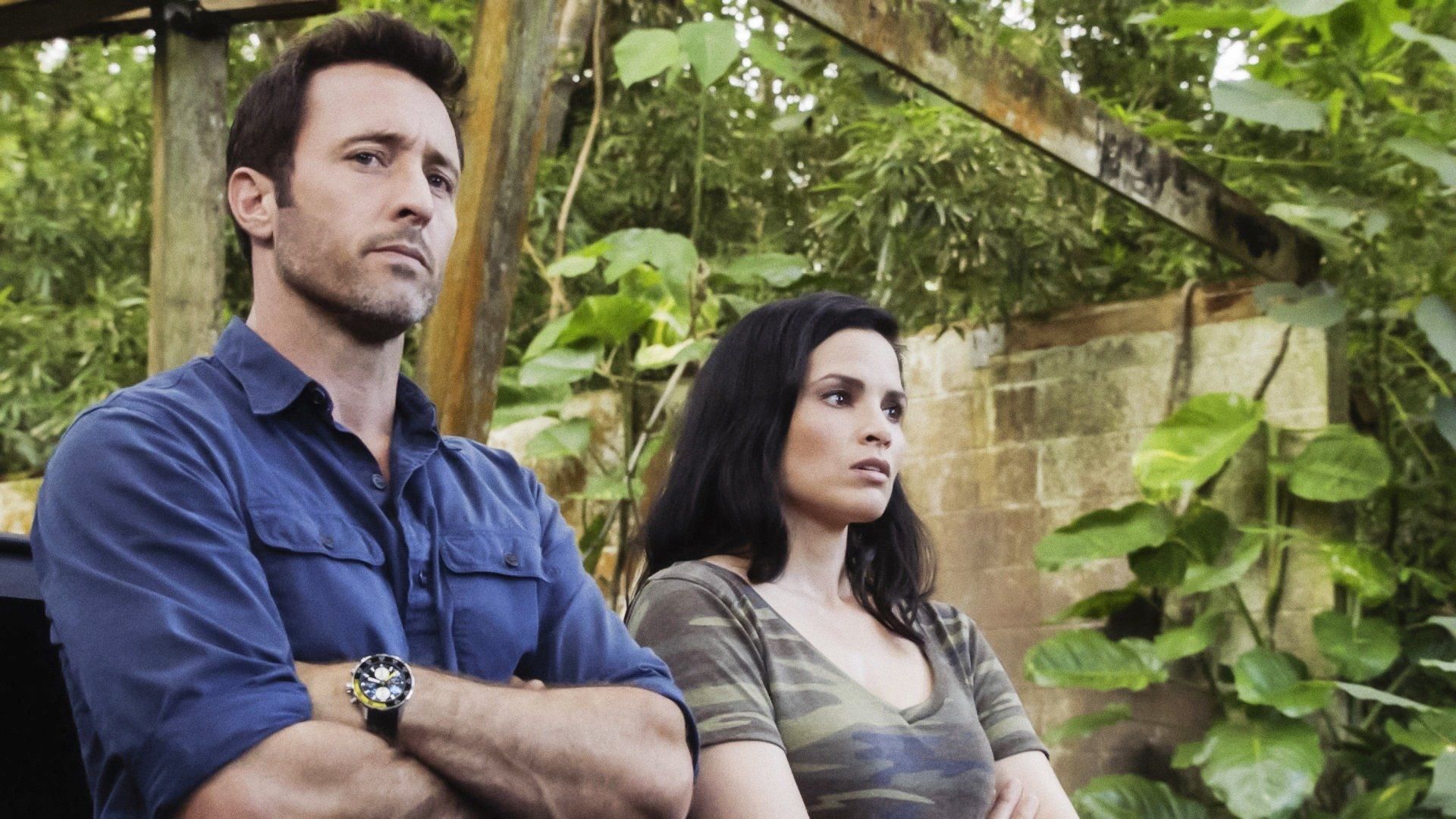Hawaii Five-0 background