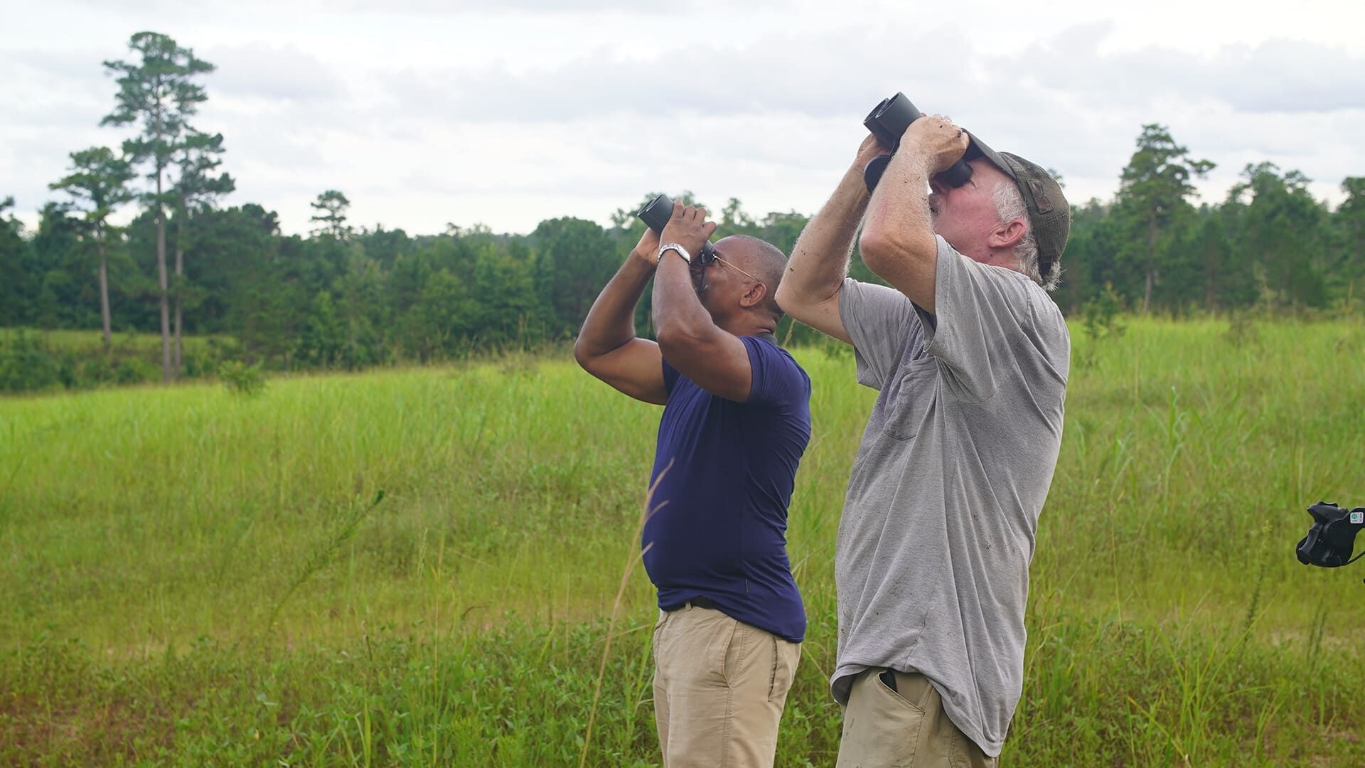 Extraordinary Birder with Christian Cooper background
