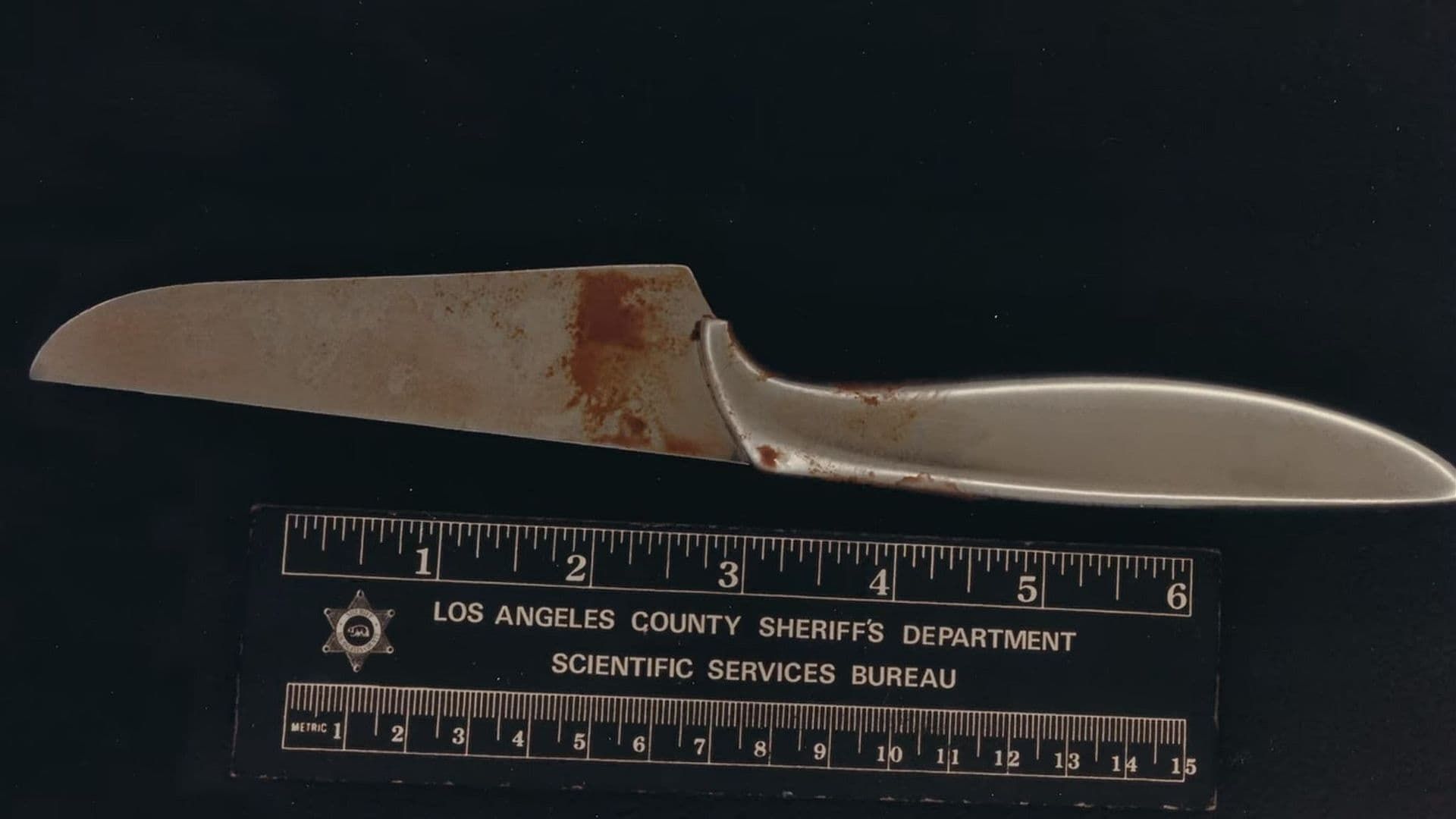 Night Stalker: The Hunt for a Serial Killer background