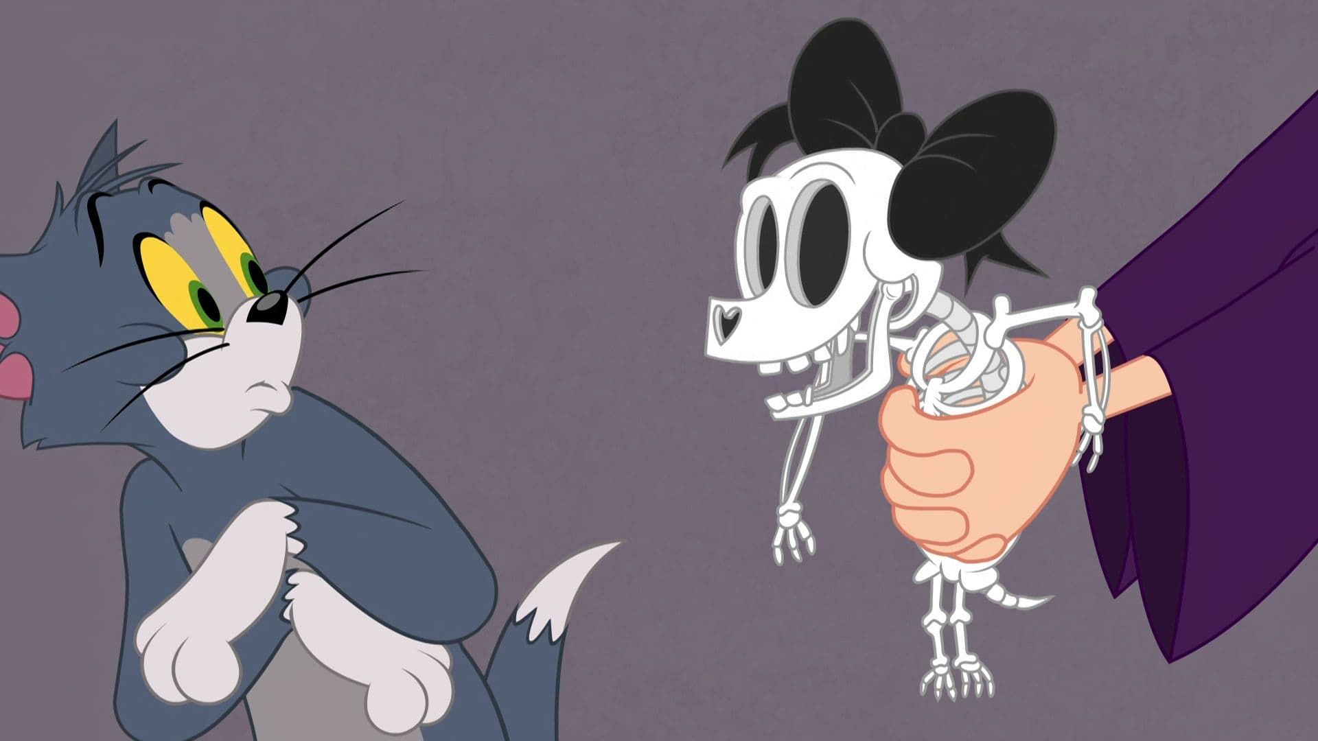 The Tom and Jerry Show background