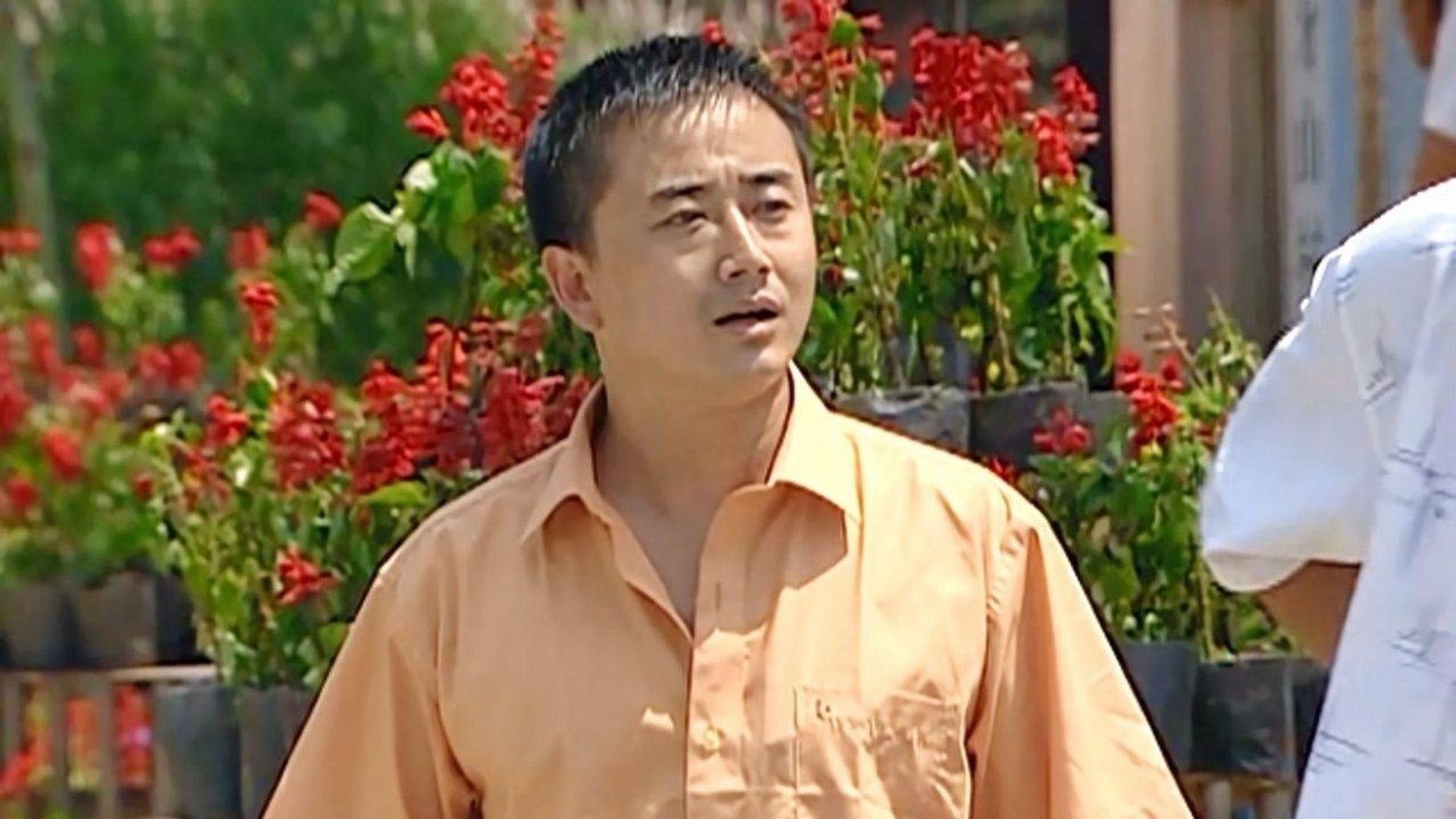 Xiang cun ai qing background