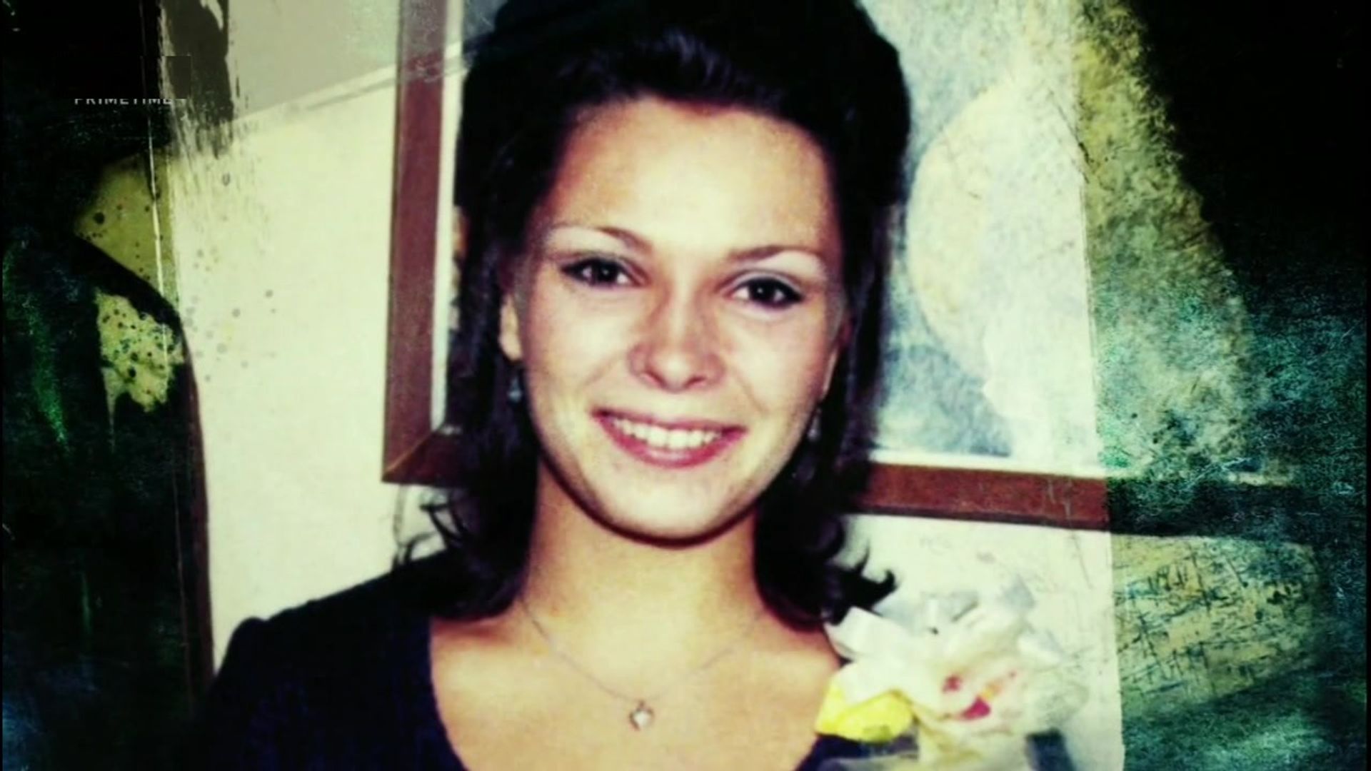On the Case with Paula Zahn background