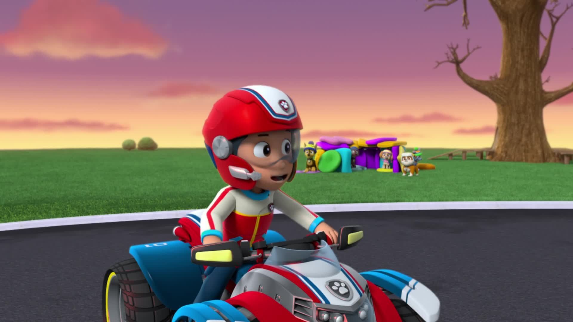 PAW Patrol background
