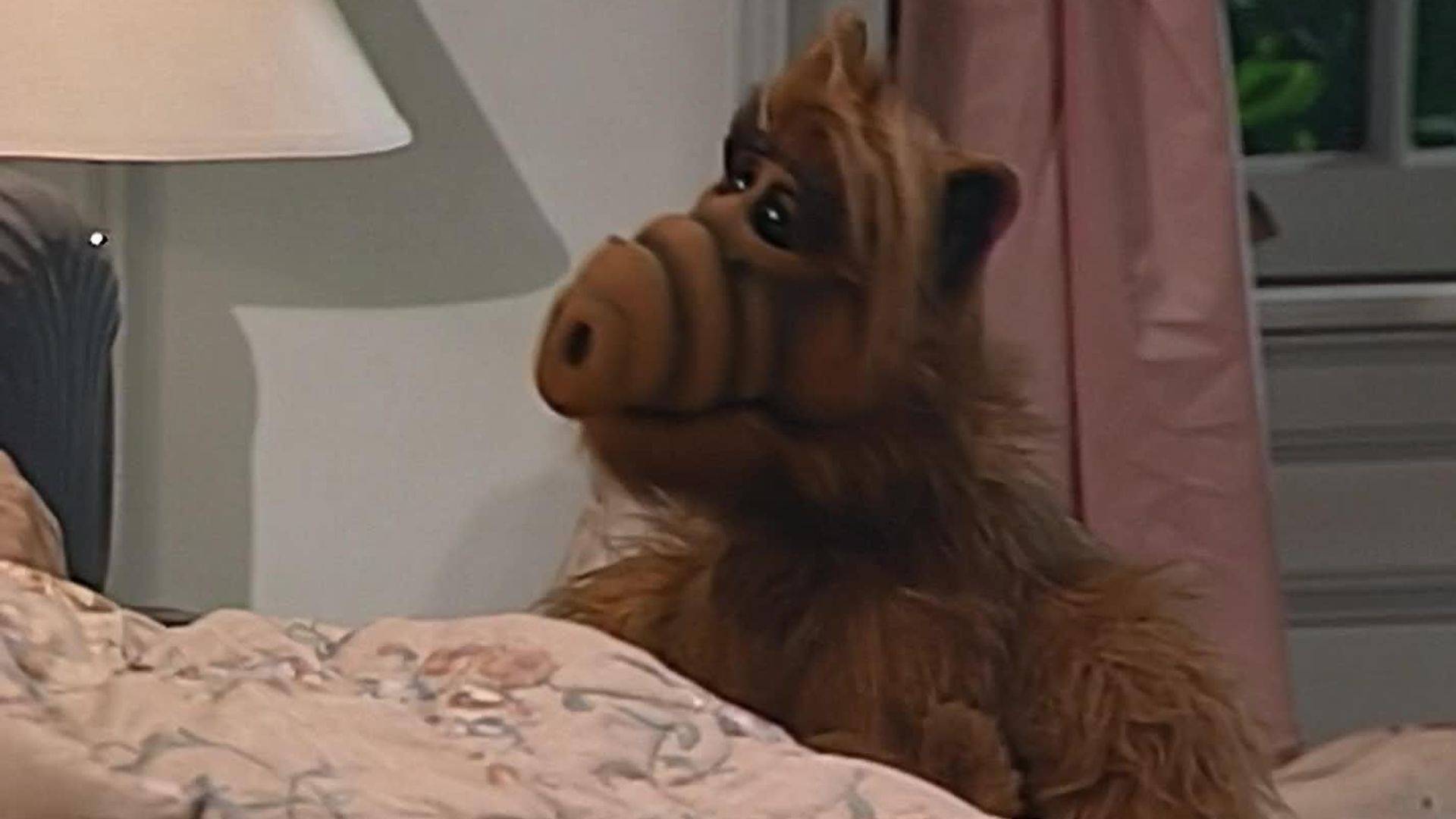 ALF background