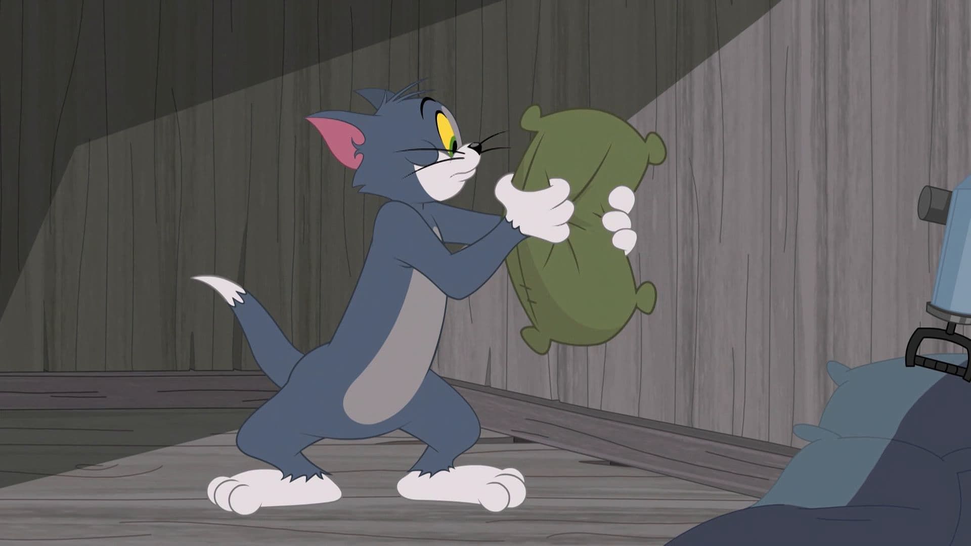 The Tom and Jerry Show background