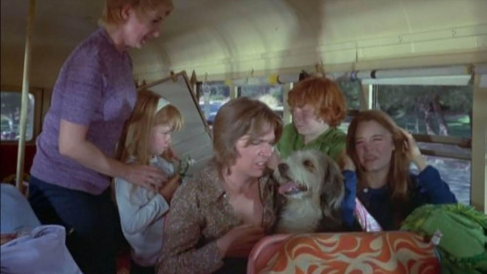The Partridge Family background
