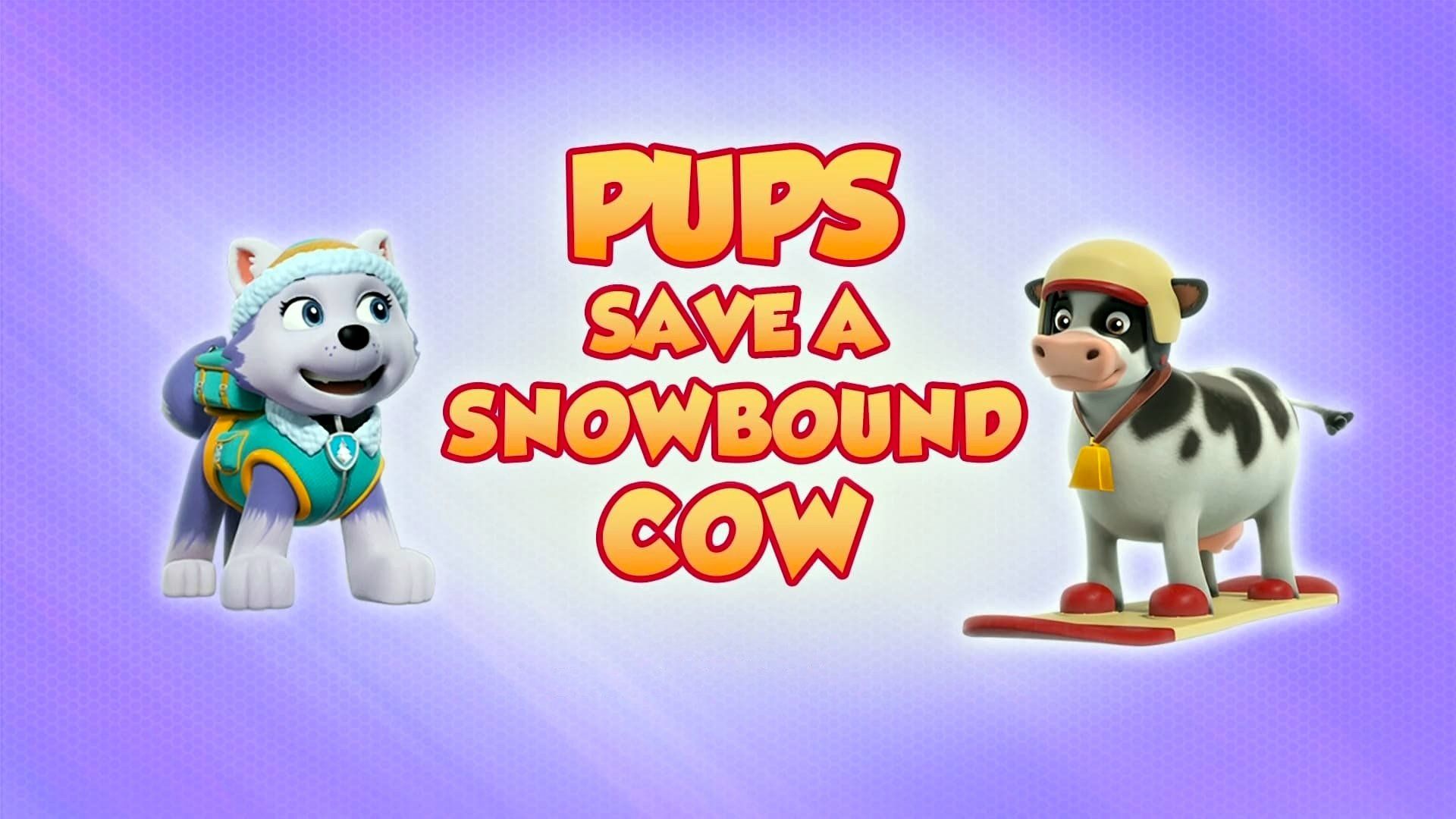 PAW Patrol background