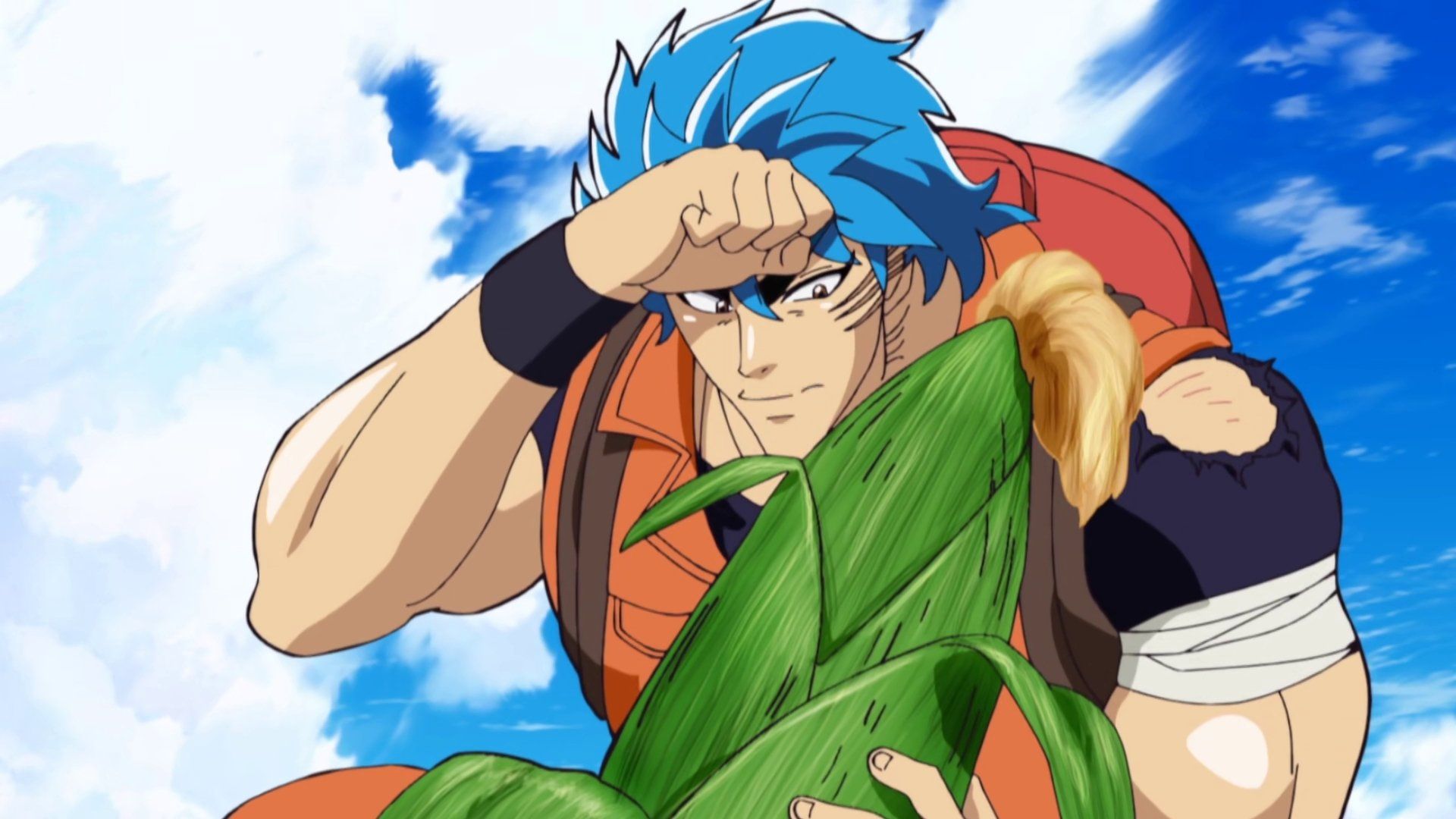 Toriko background