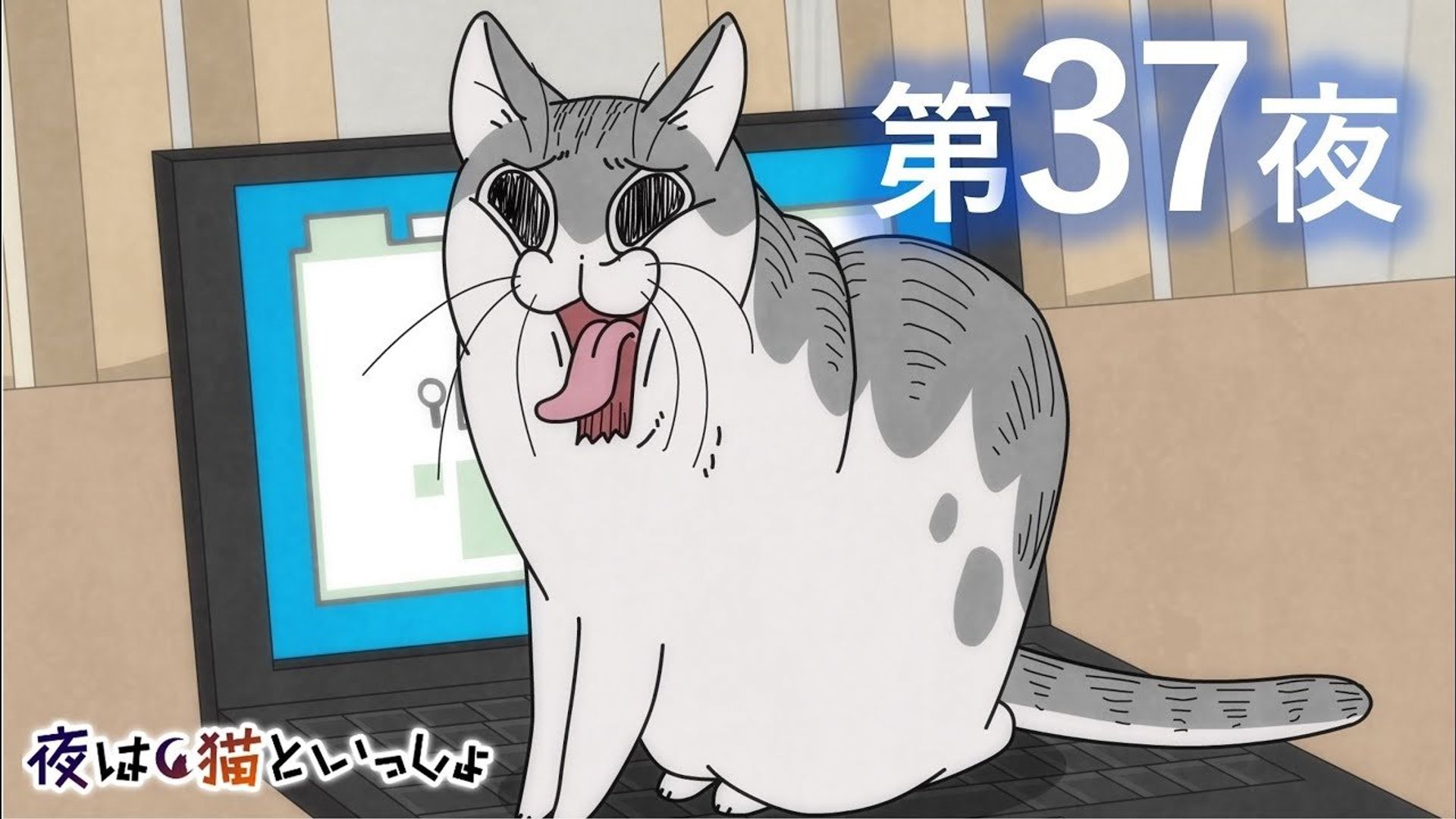 Yoru wa Neko to Issho background