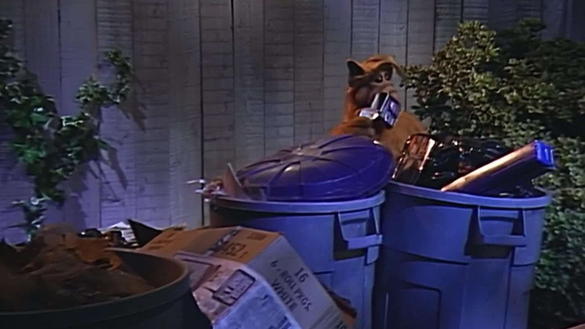 ALF background