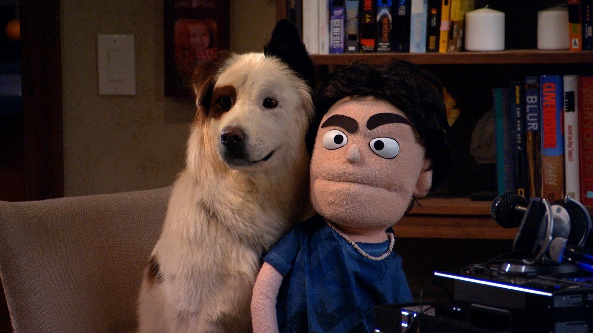 Dog with a Blog background