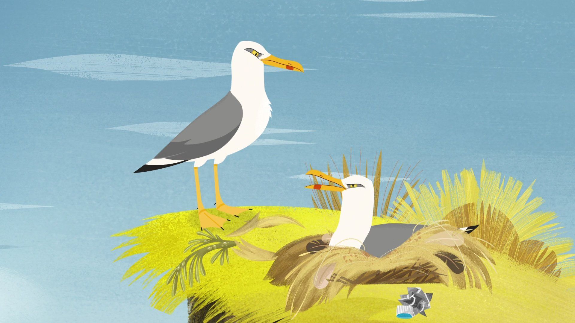 Puffin Rock background