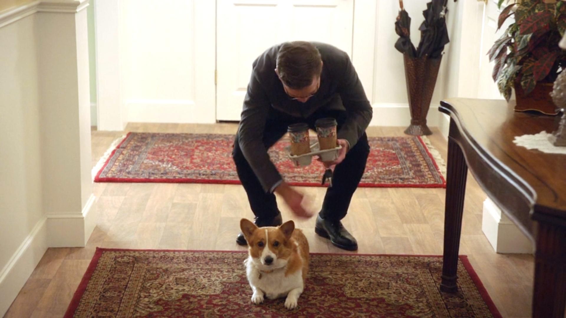 NCIS background
