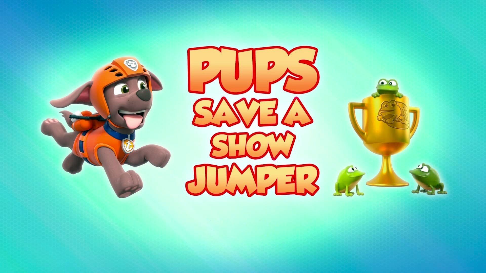 PAW Patrol background