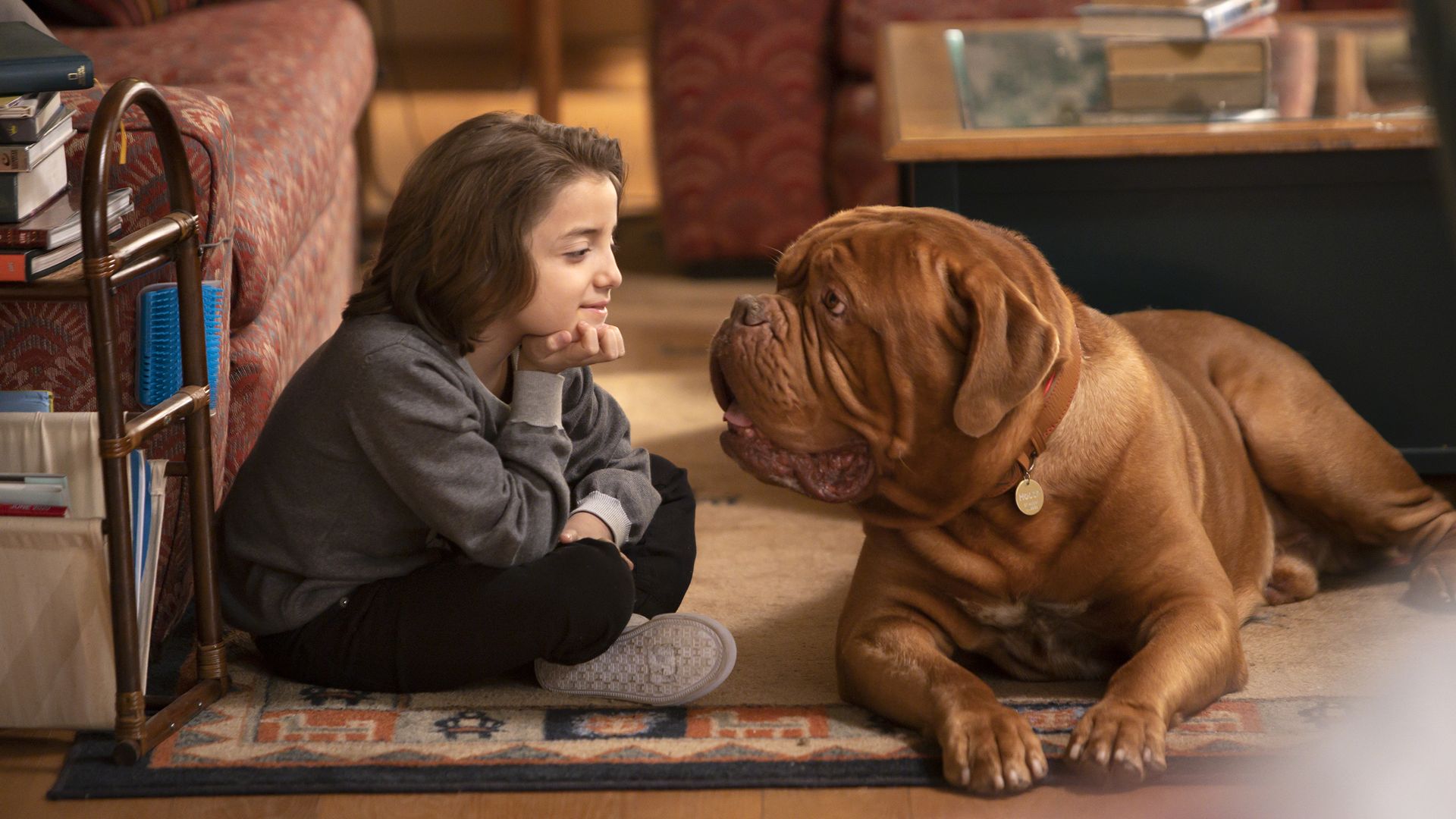 Turner & Hooch background