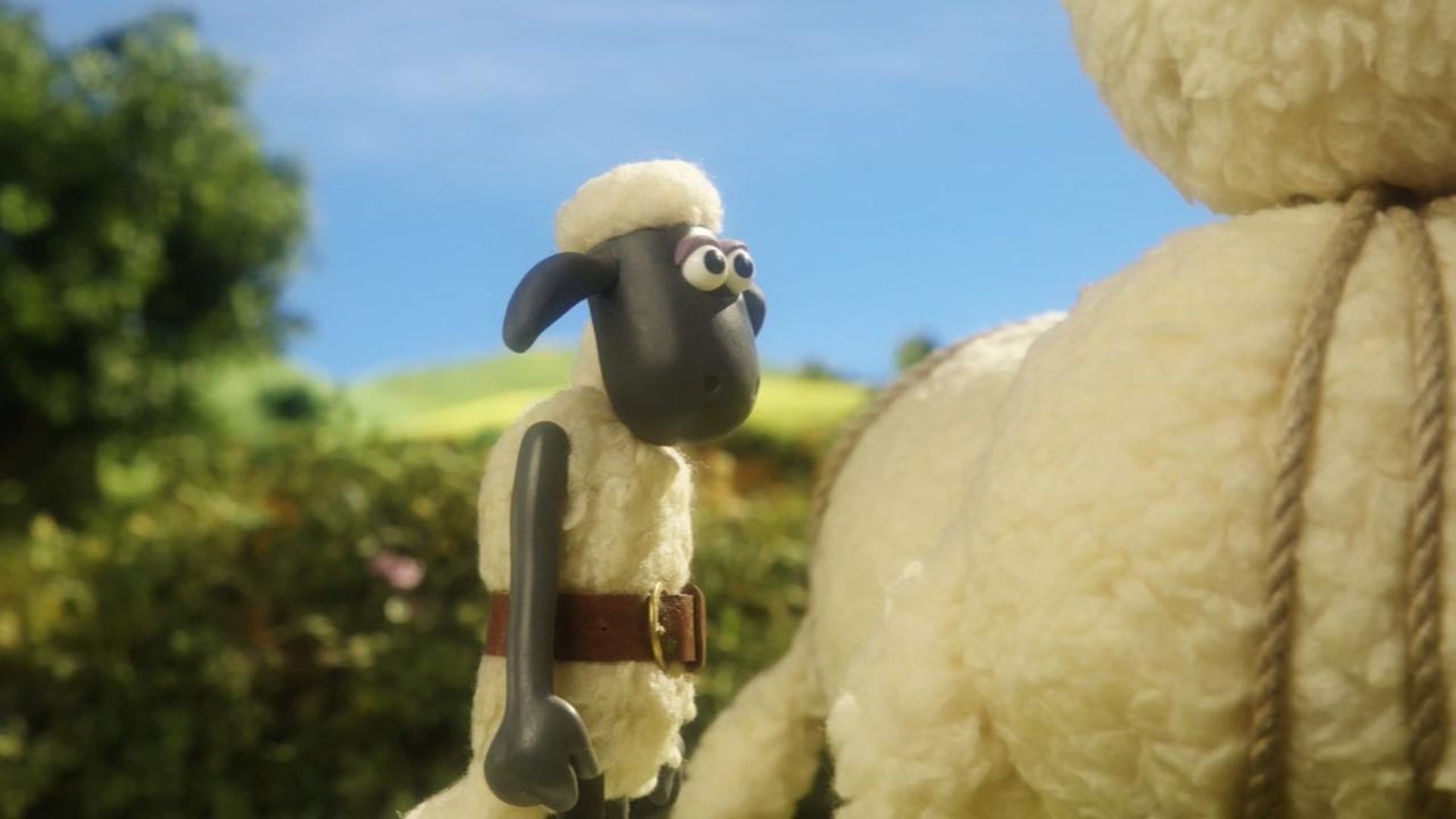 Shaun the Sheep Championsheeps background