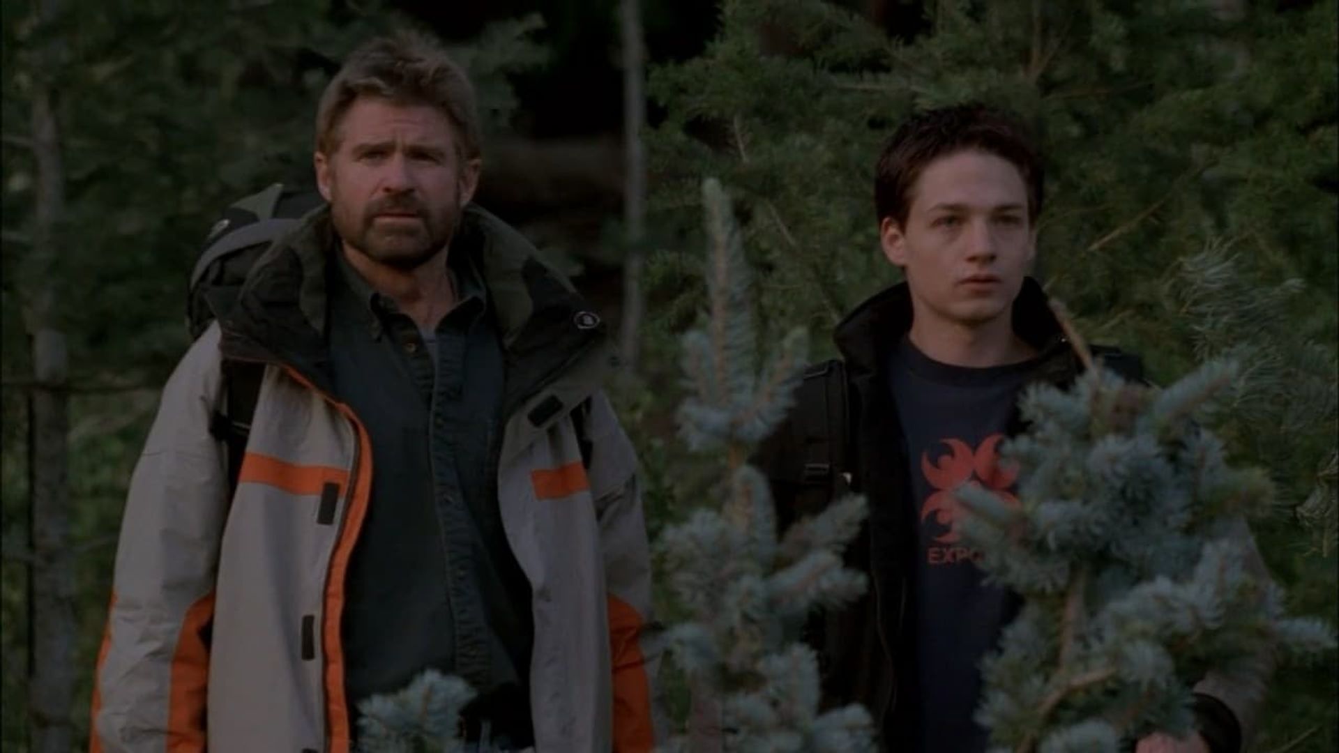 Everwood background