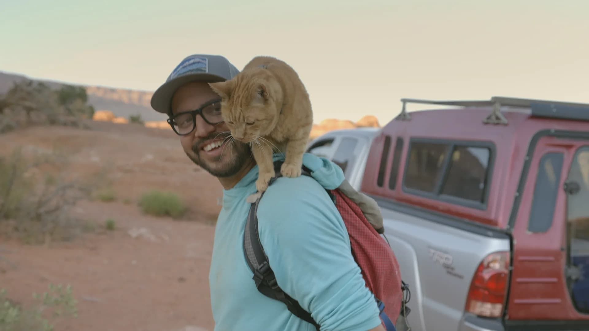 The Secret Life of Our Pets background