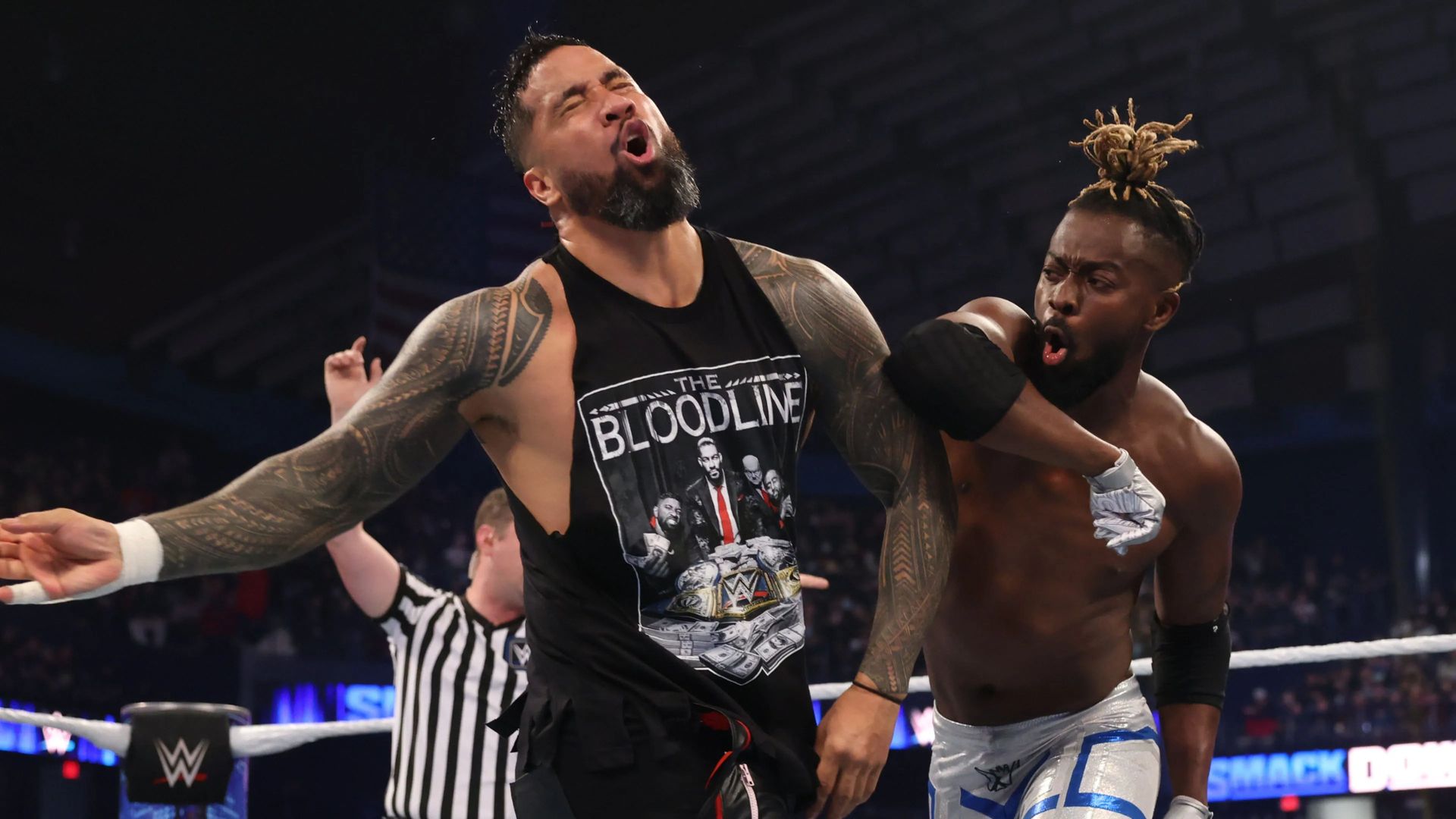 World Wrestling Federation Smackdown! background