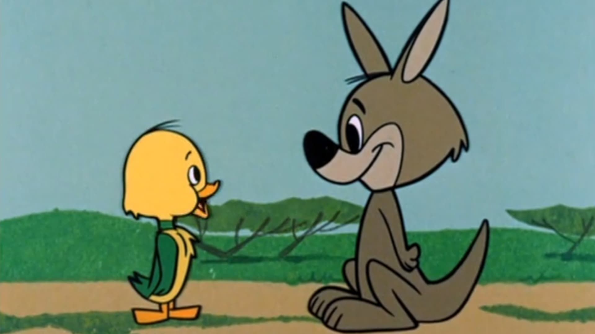 The Yogi Bear Show background