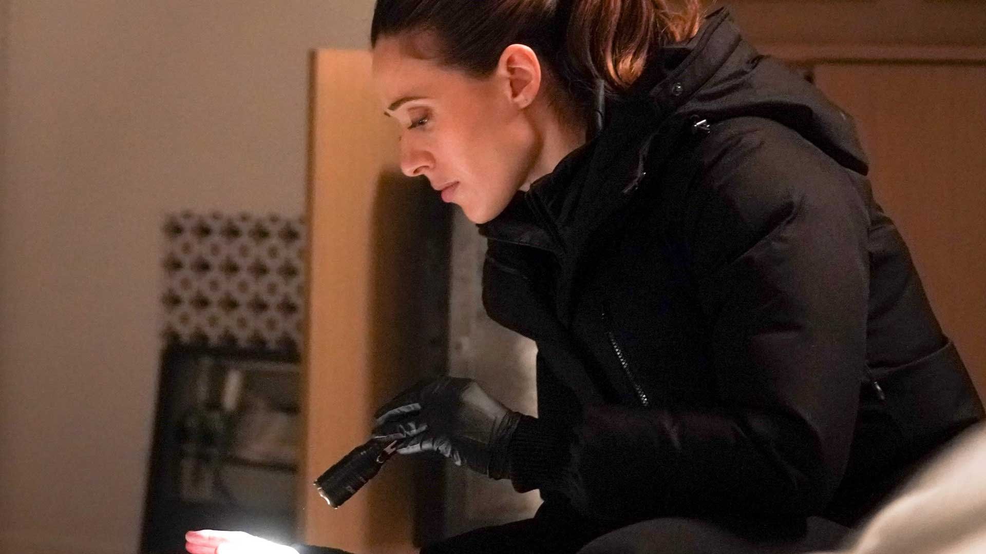 Chicago P.D. background