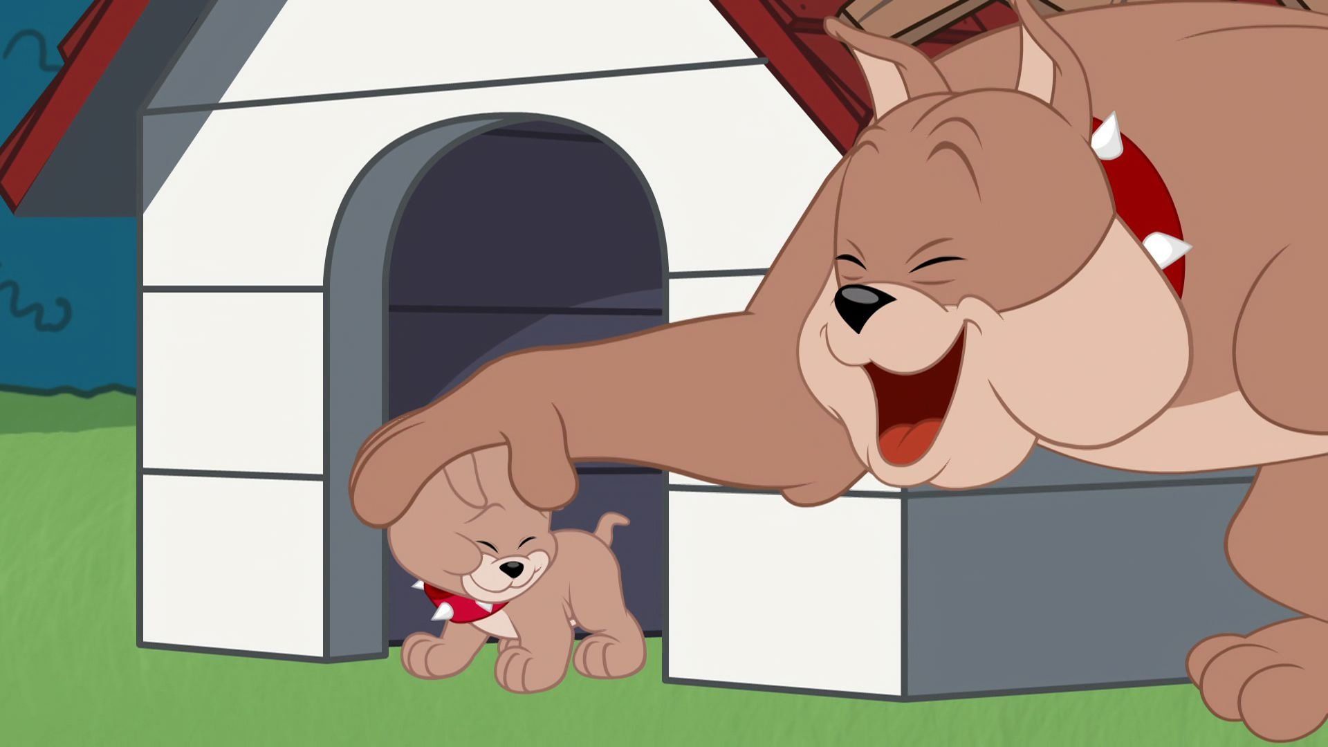 The Tom and Jerry Show background