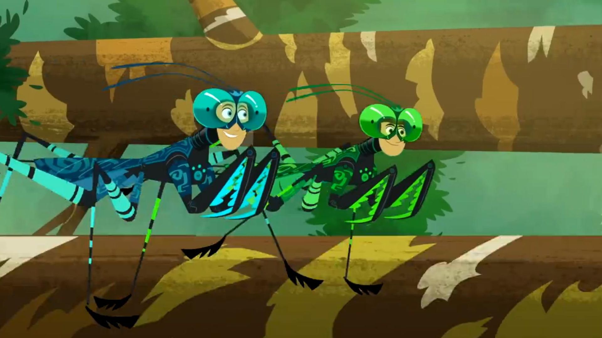 Wild Kratts background