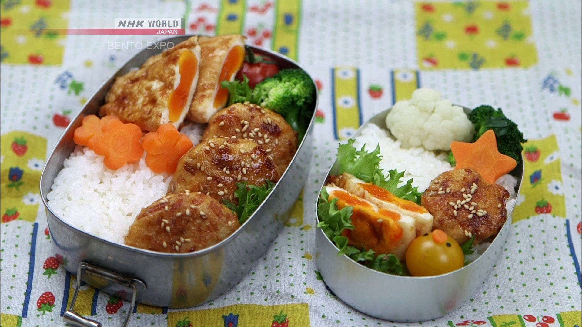 Bento Expo: The Global Lunchbox Project background