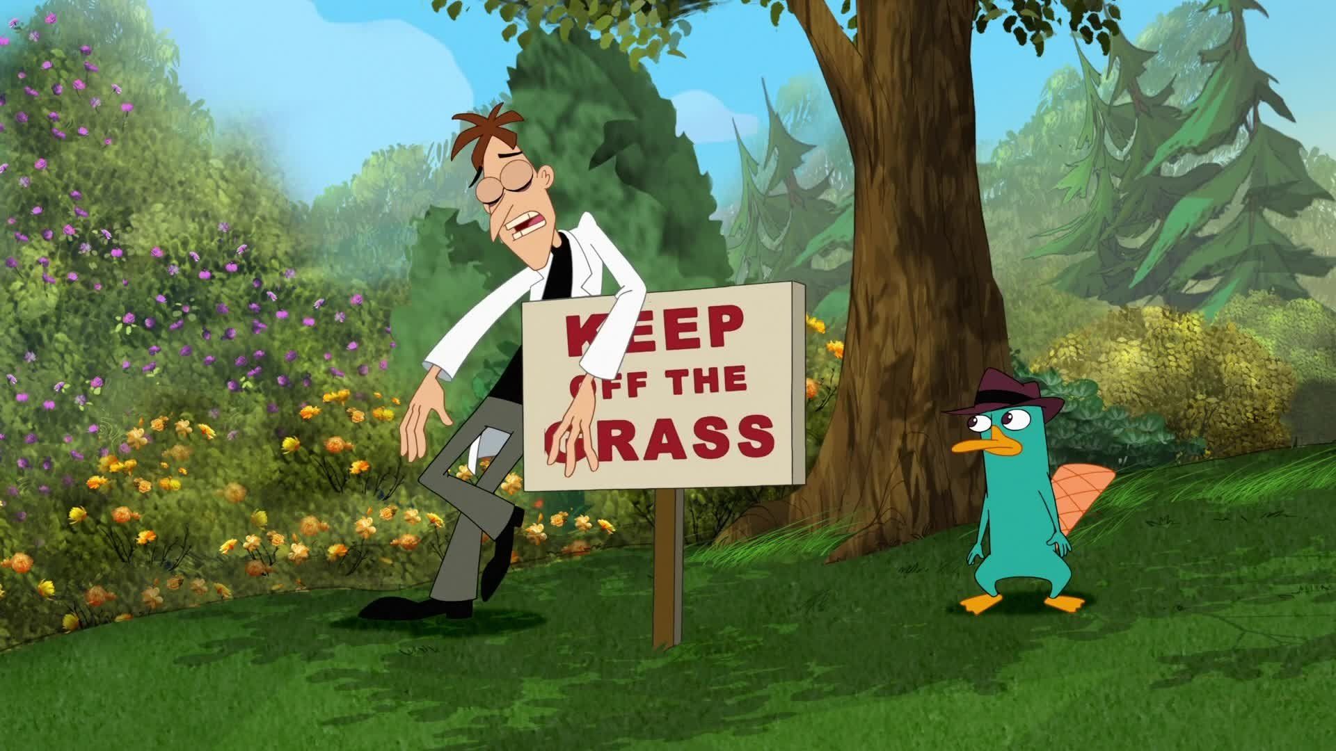 Phineas and Ferb background