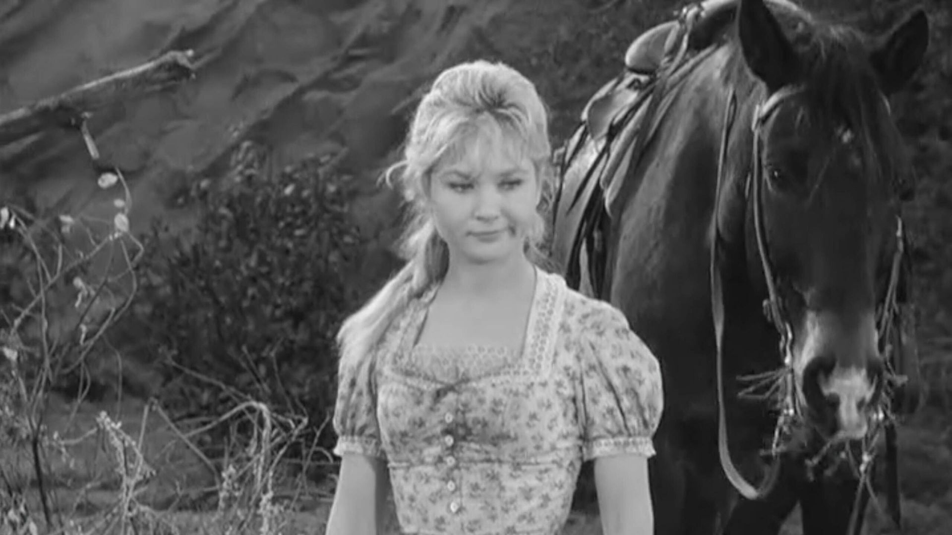 Wagon Train background