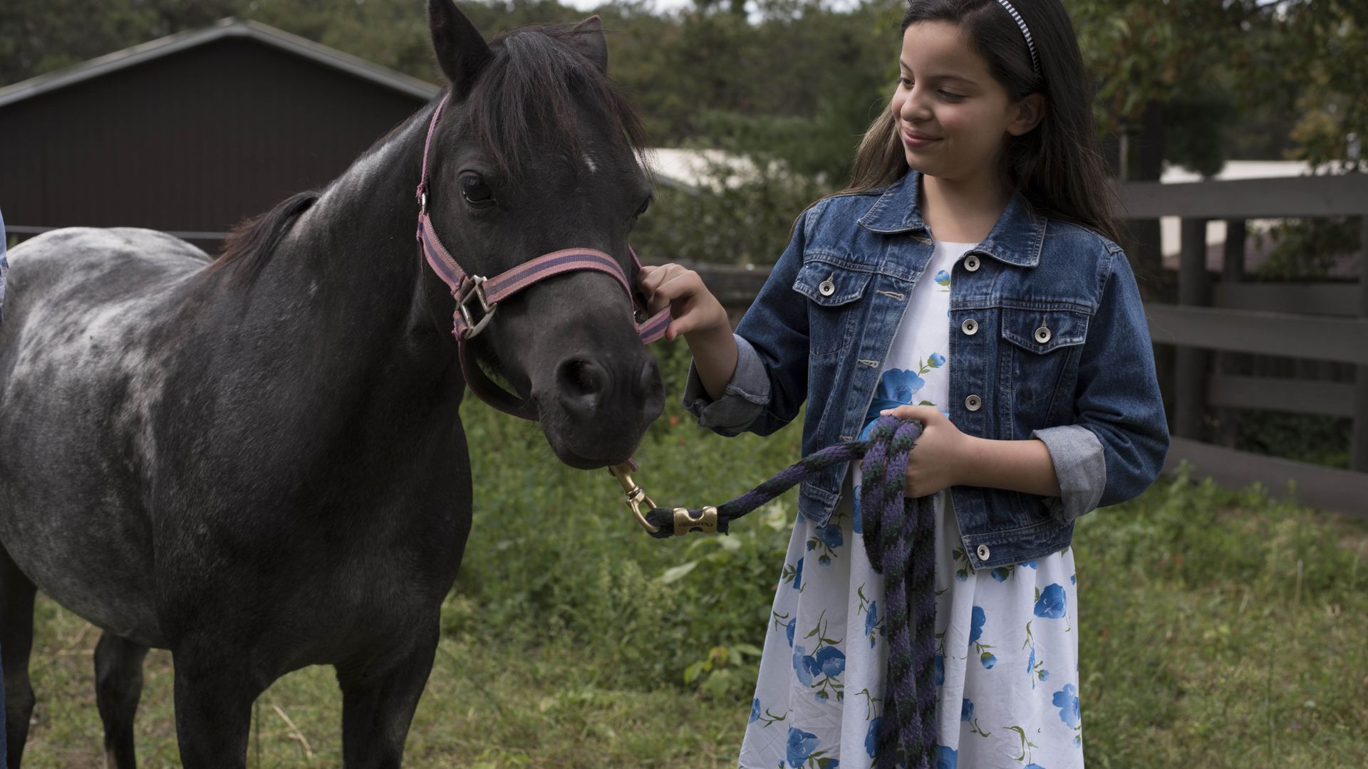 Ponysitters Club background