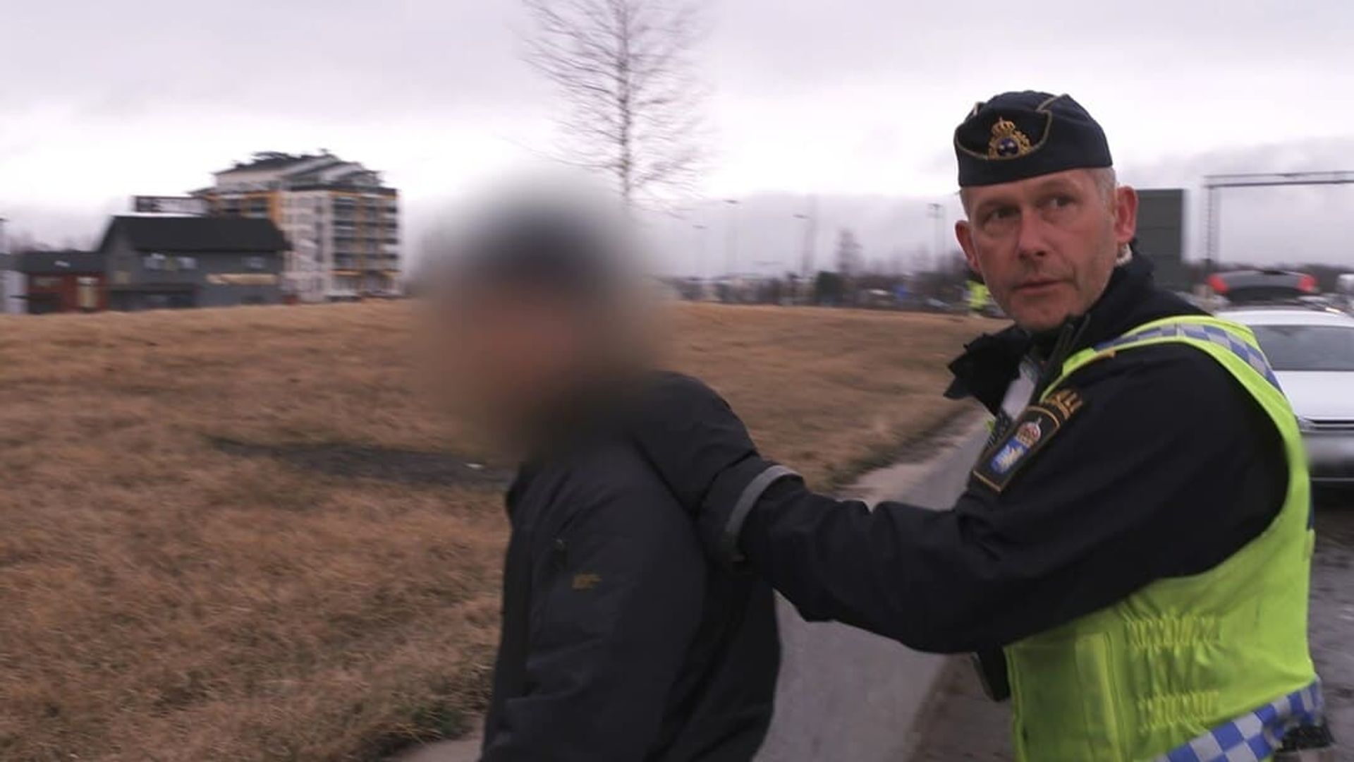 Border Control: Sweden background