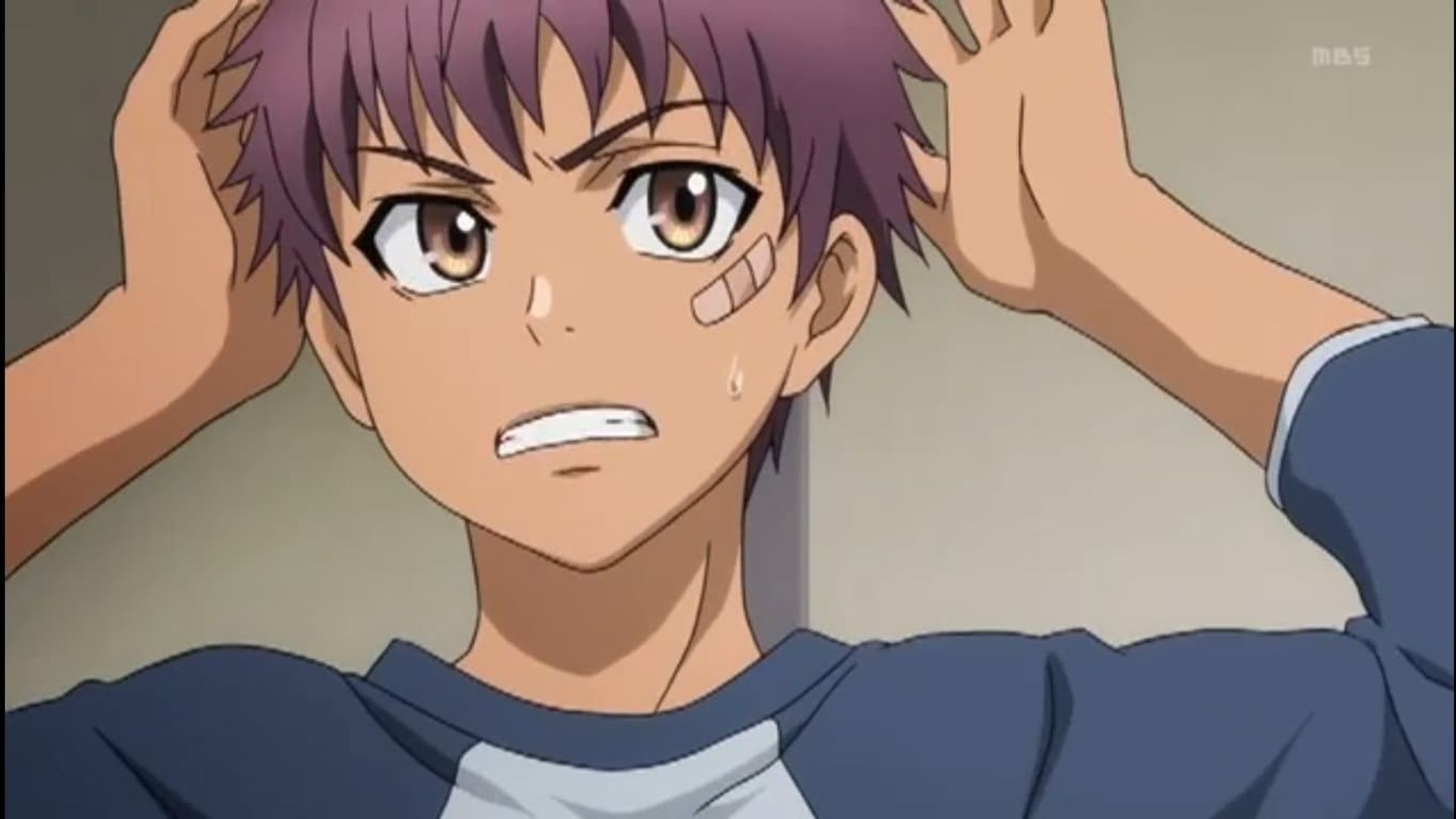 Hakkenden: Eight Dogs of the East background