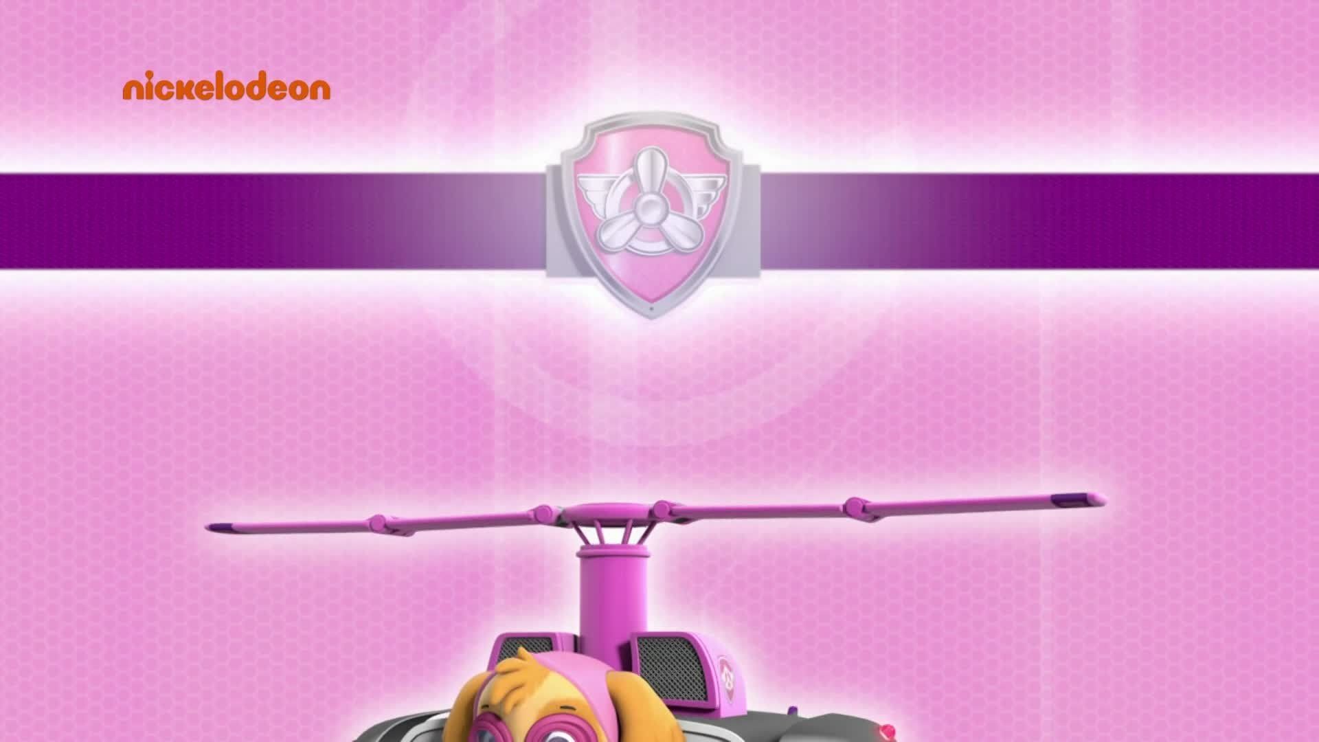 PAW Patrol background