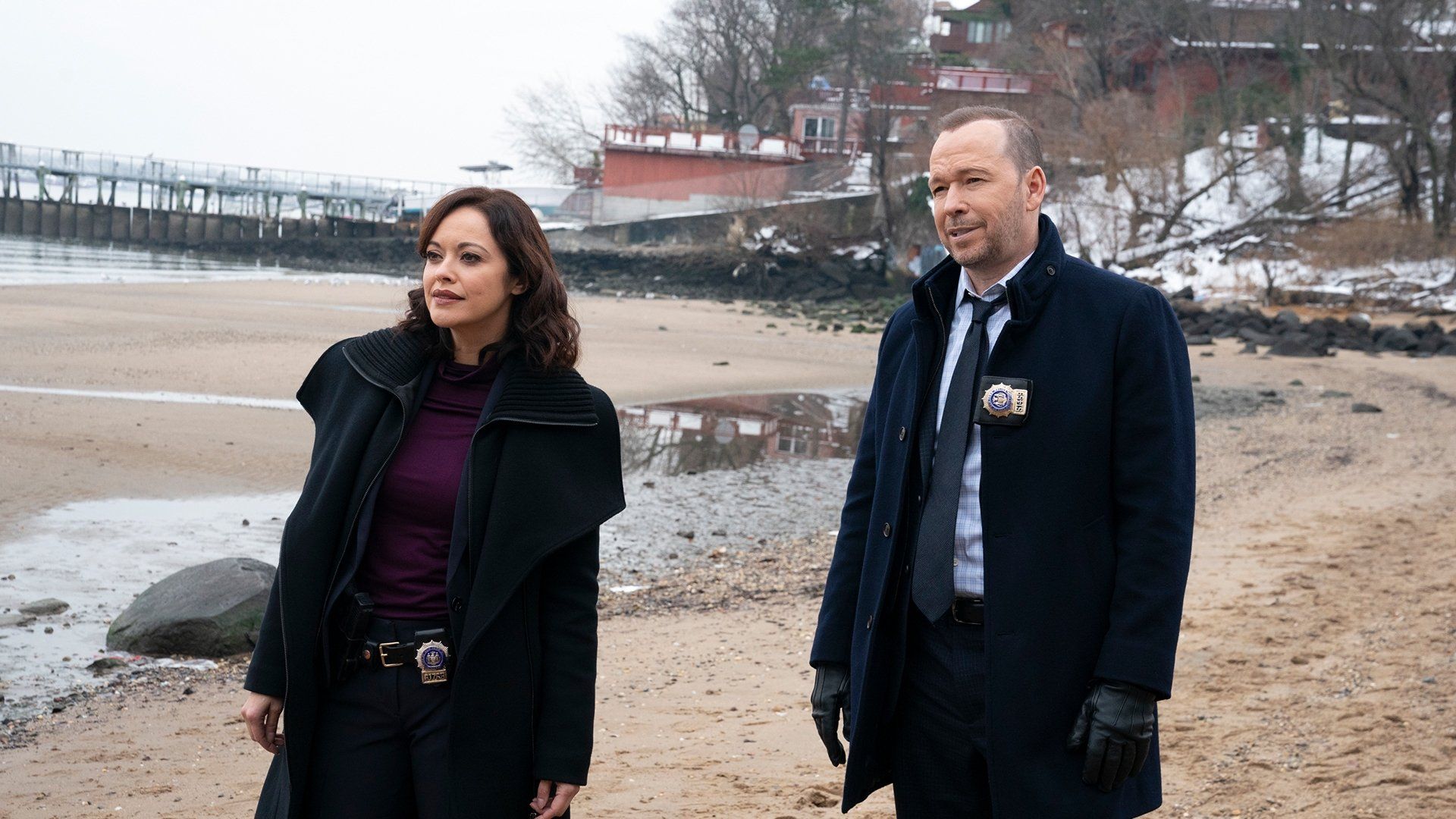 Blue Bloods background
