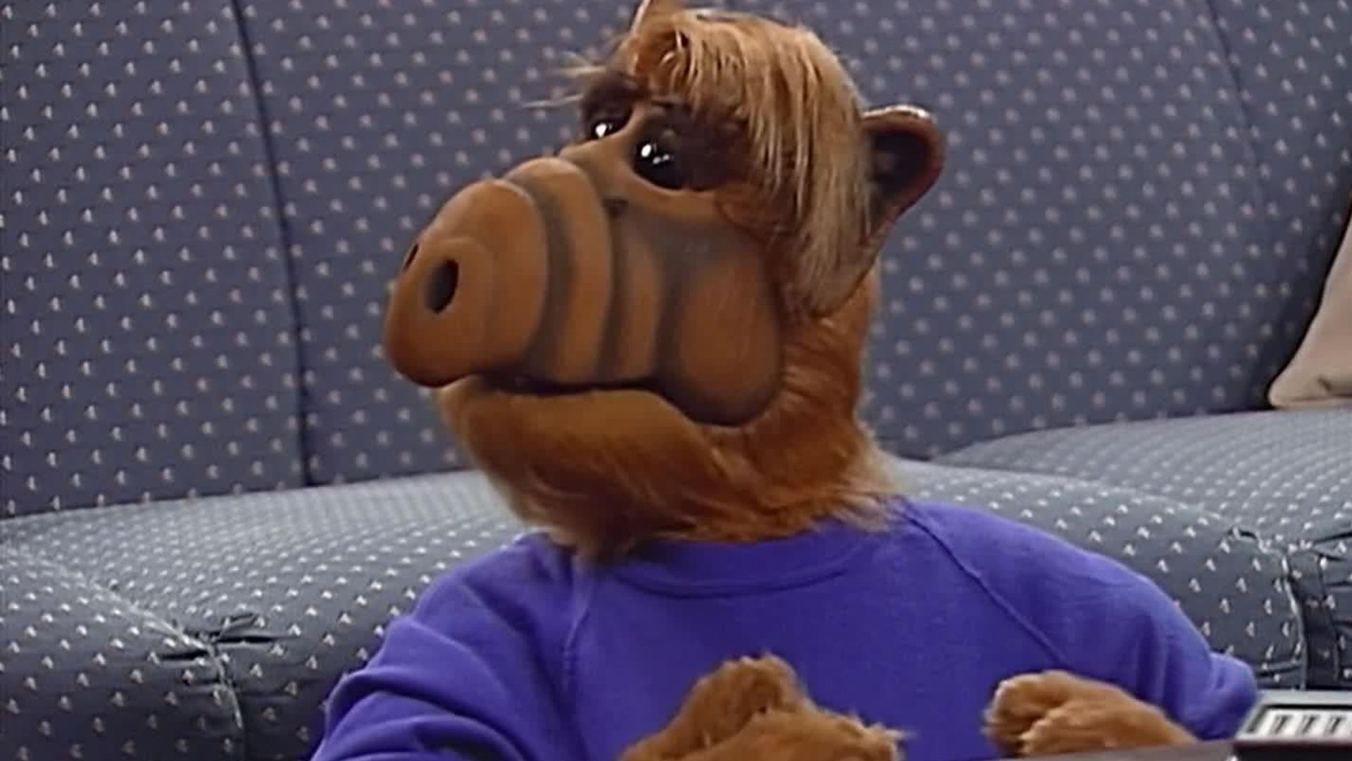 ALF background