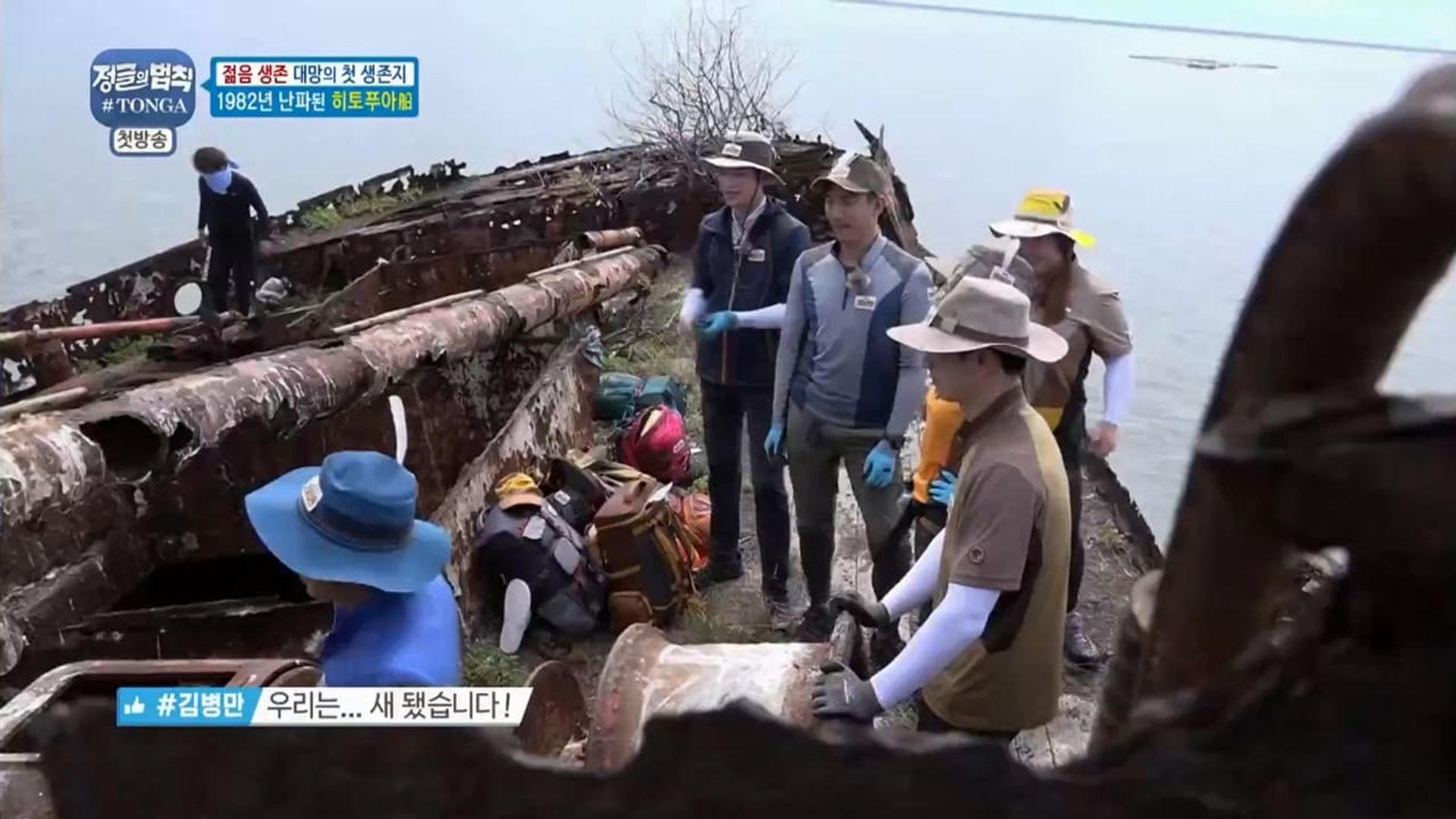 Law of the Jungle background