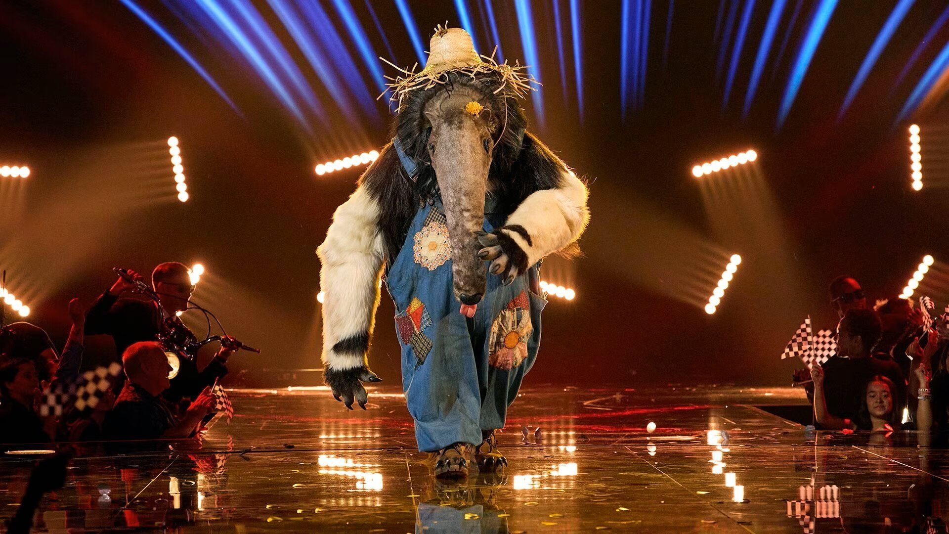 The Masked Singer background