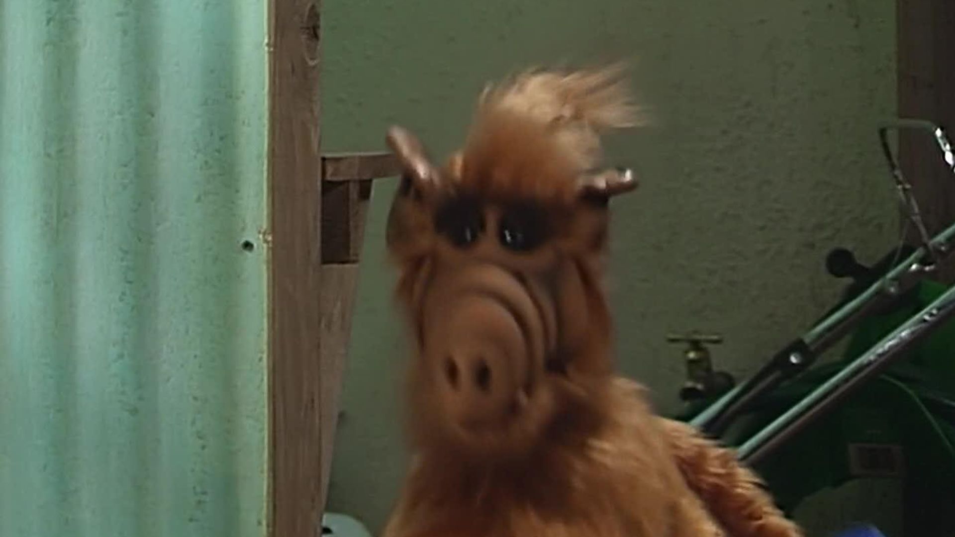 ALF background