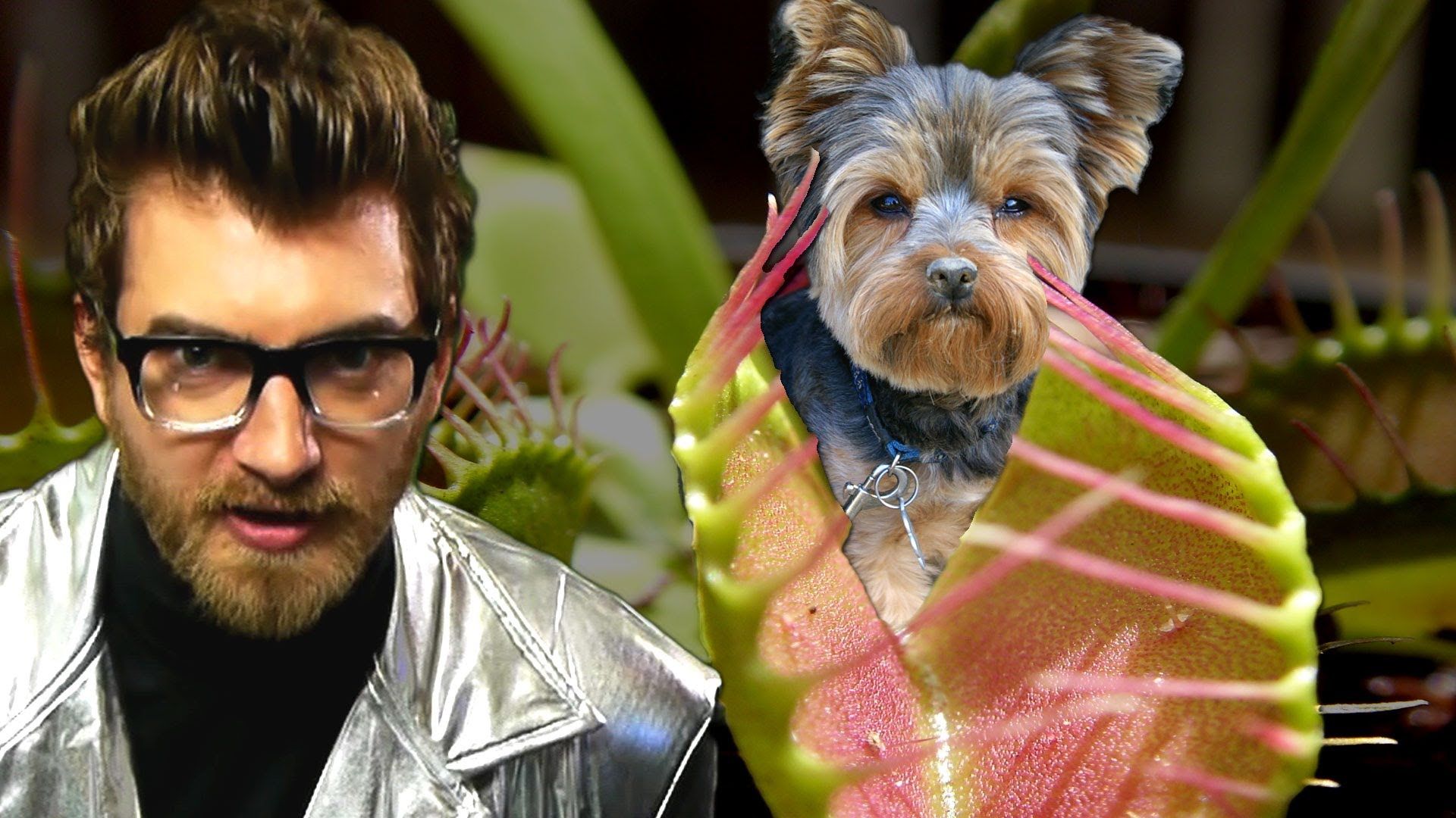 Good Mythical Morning background