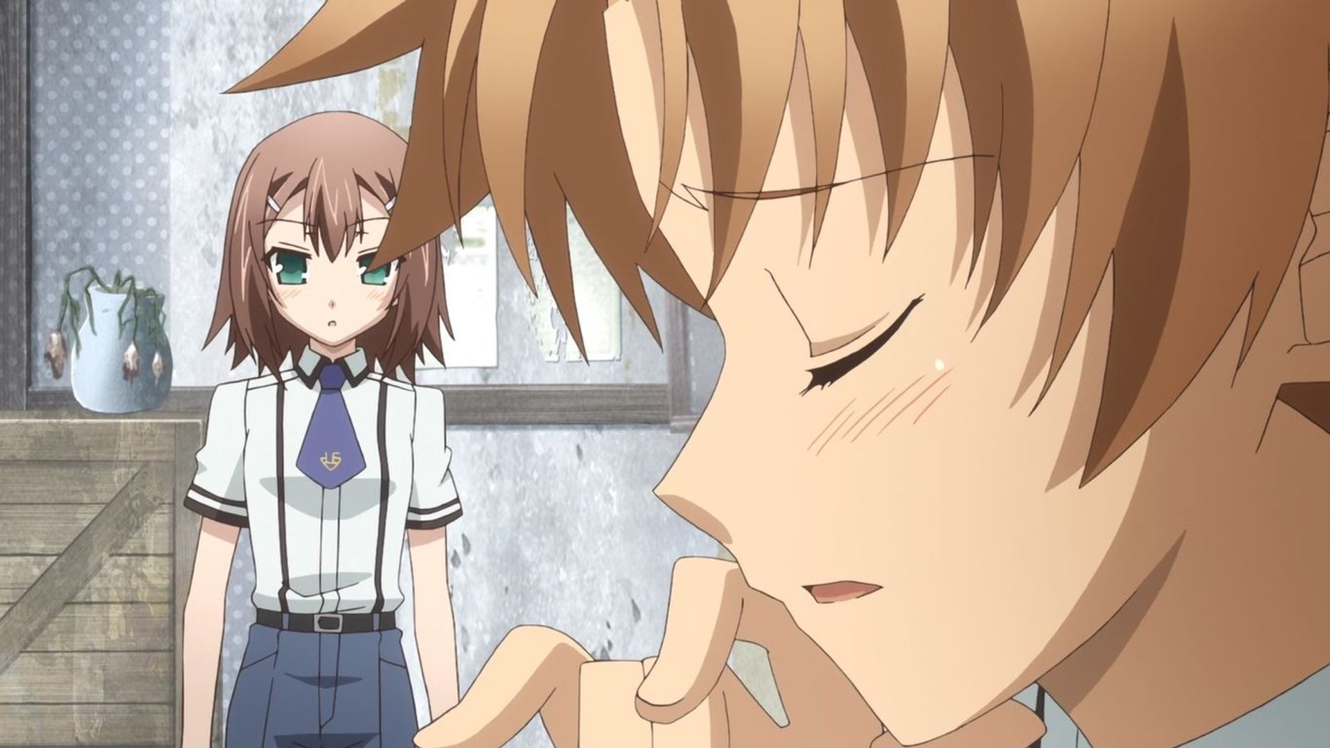 Baka and Test background