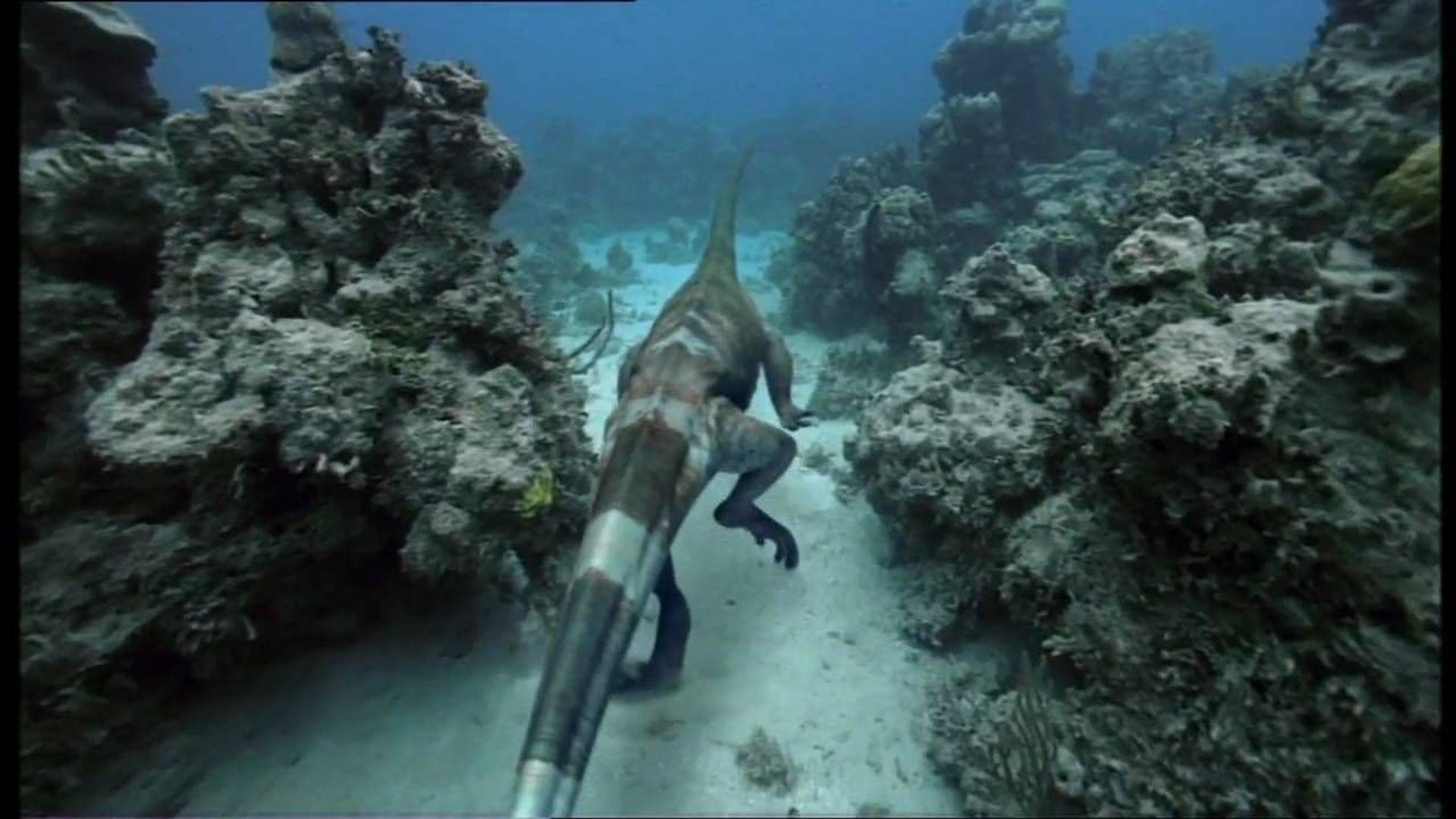 Sea Monsters: A Walking with Dinosaurs Trilogy background