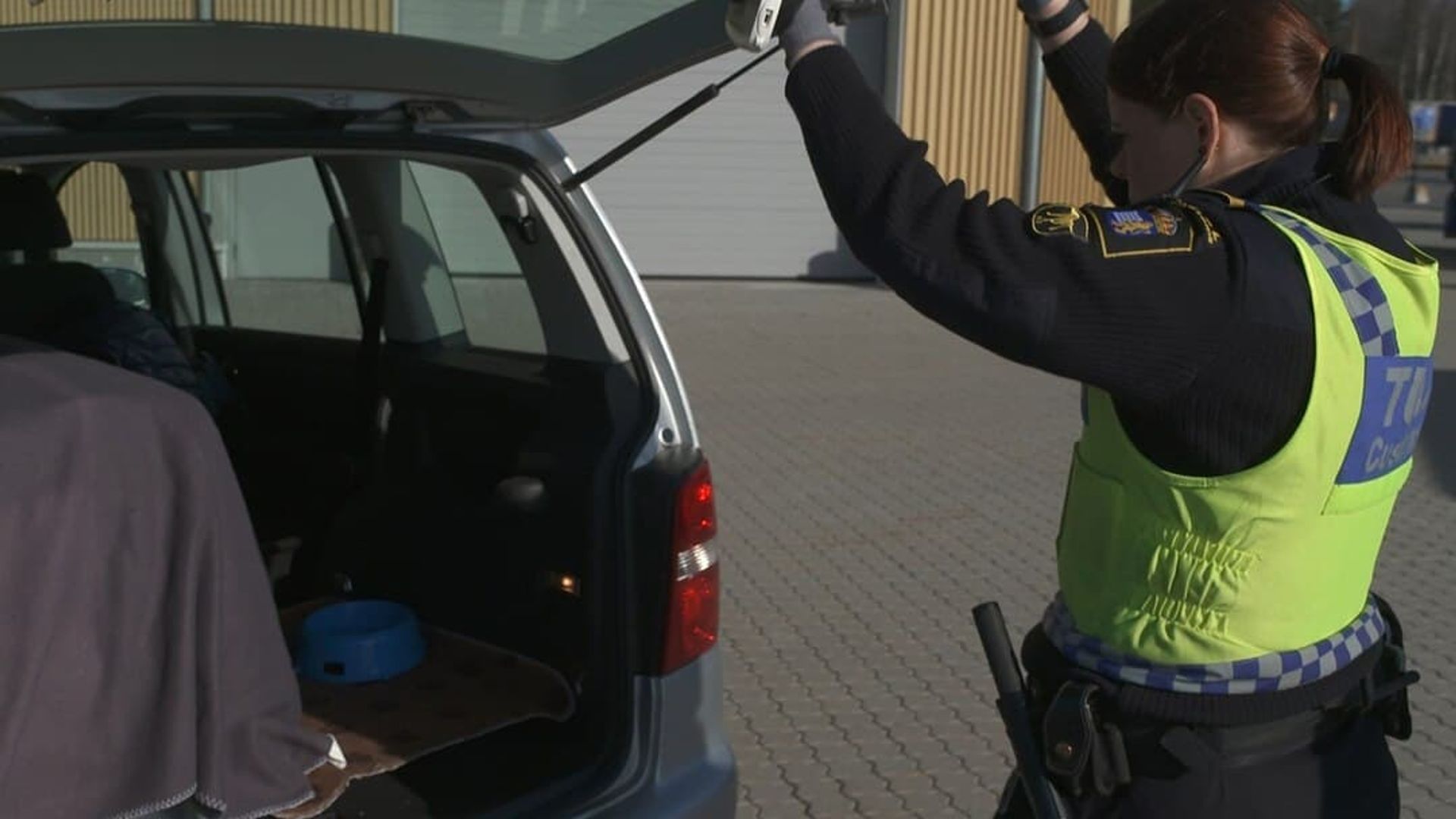 Border Control: Sweden background