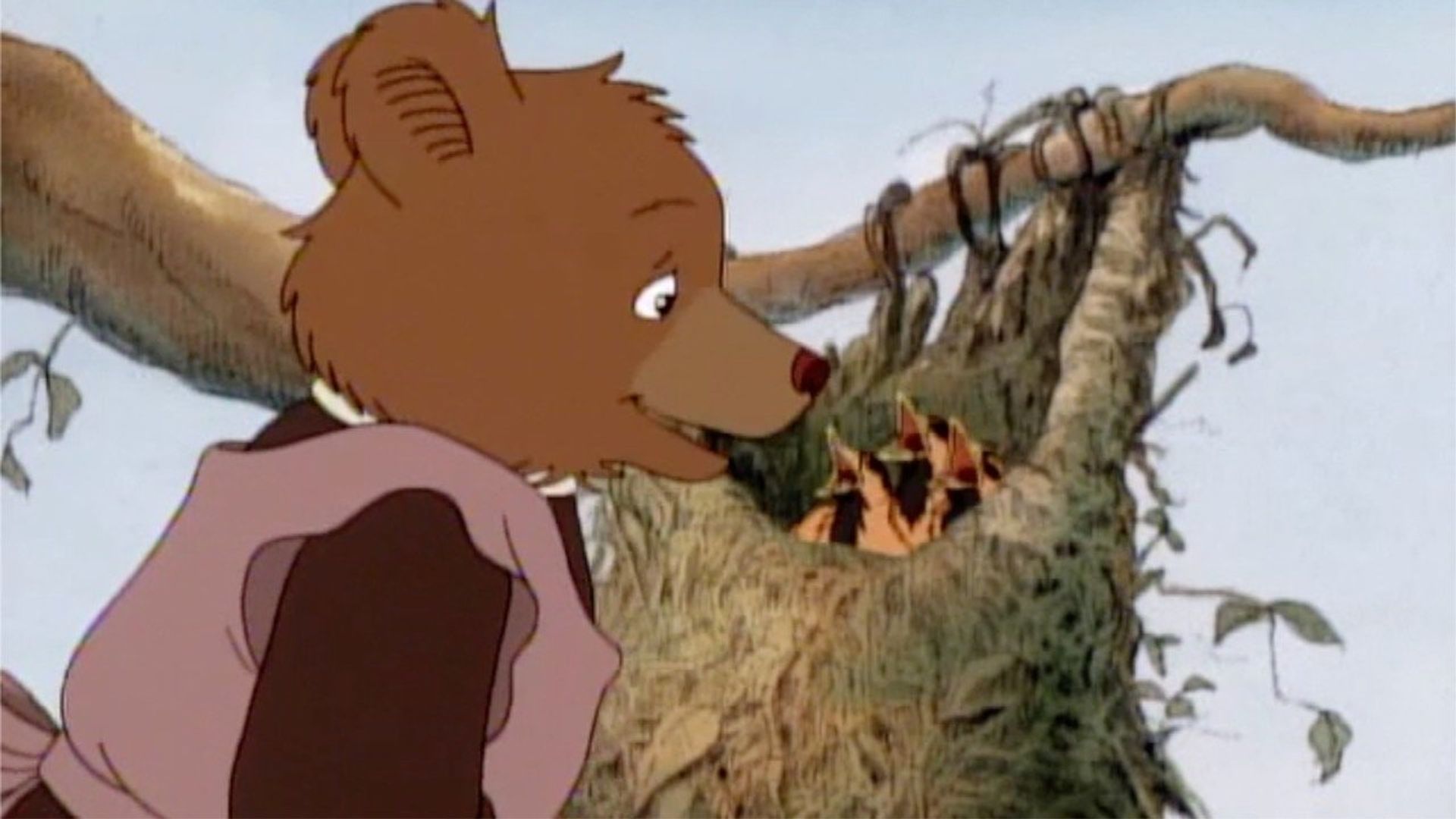 Little Bear background