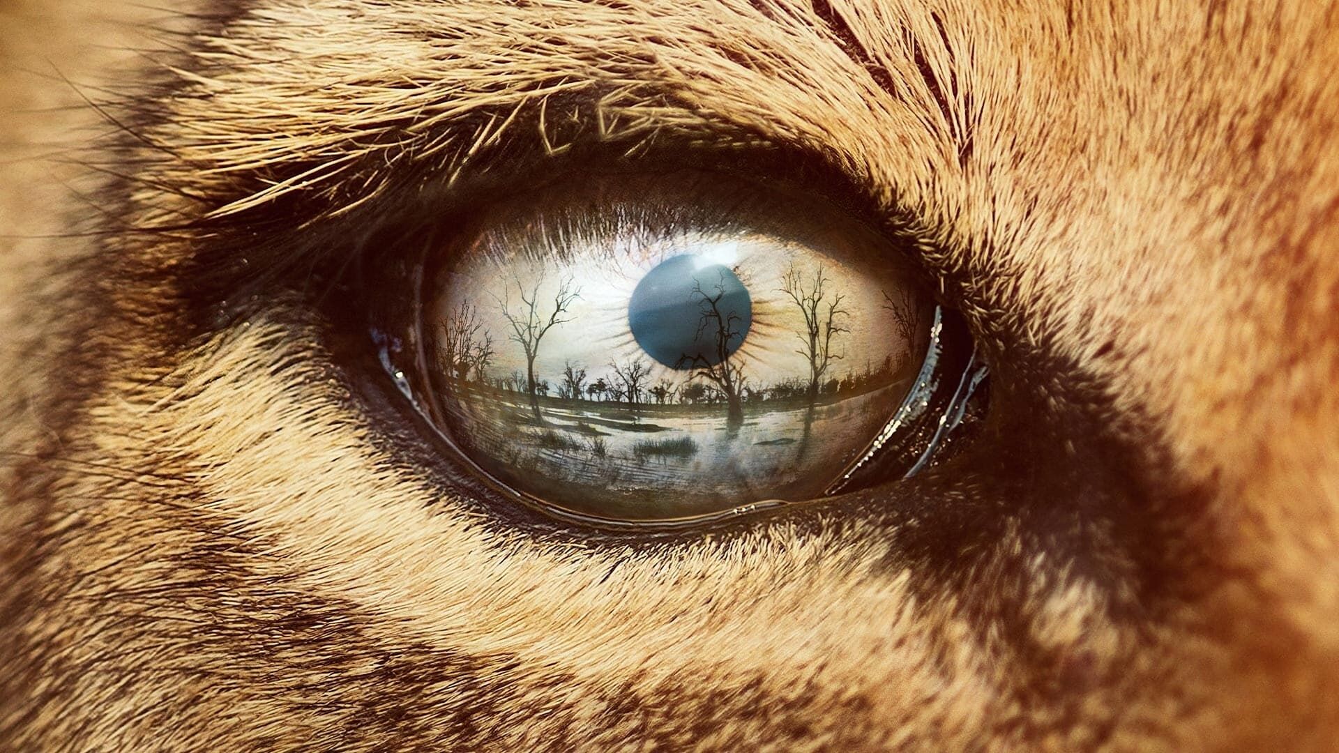 Predators background