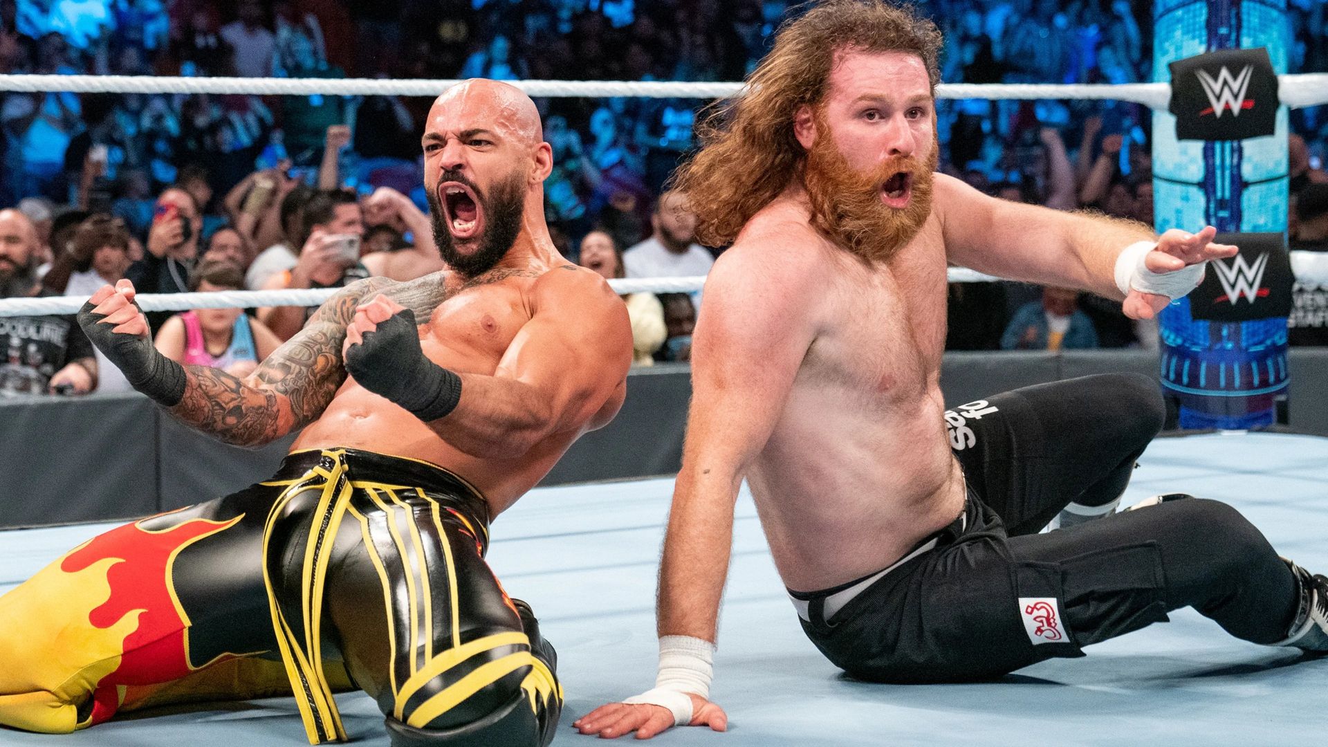 World Wrestling Federation Smackdown! background