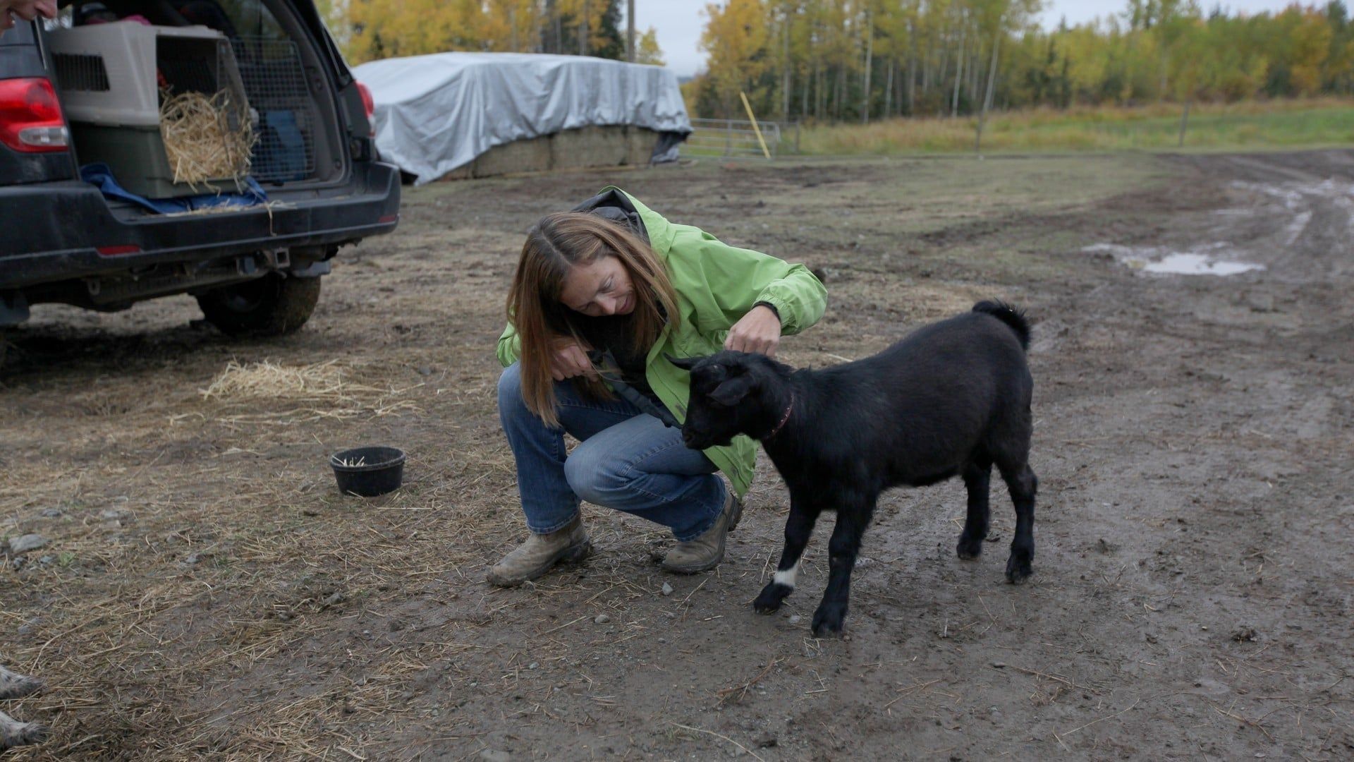 Dr. Oakley, Yukon Vet background